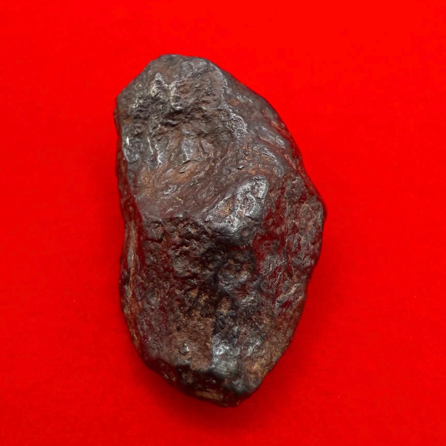 Gibeon Meteorite, Namibia, Iron IVA, 7.58 grams, Rare Meteorite, Iron Meteorite, Astronomy Gift, Space Gift, African Meteorite