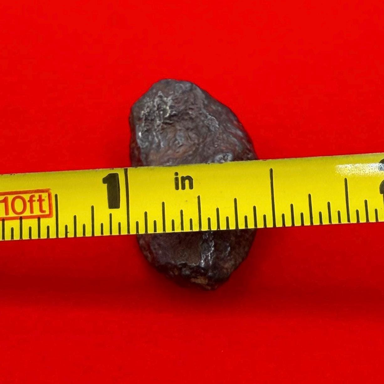 Gibeon Meteorite, Namibia, Iron IVA, 7.58 grams, Rare Meteorite, Iron Meteorite, Astronomy Gift, Space Gift, African Meteorite