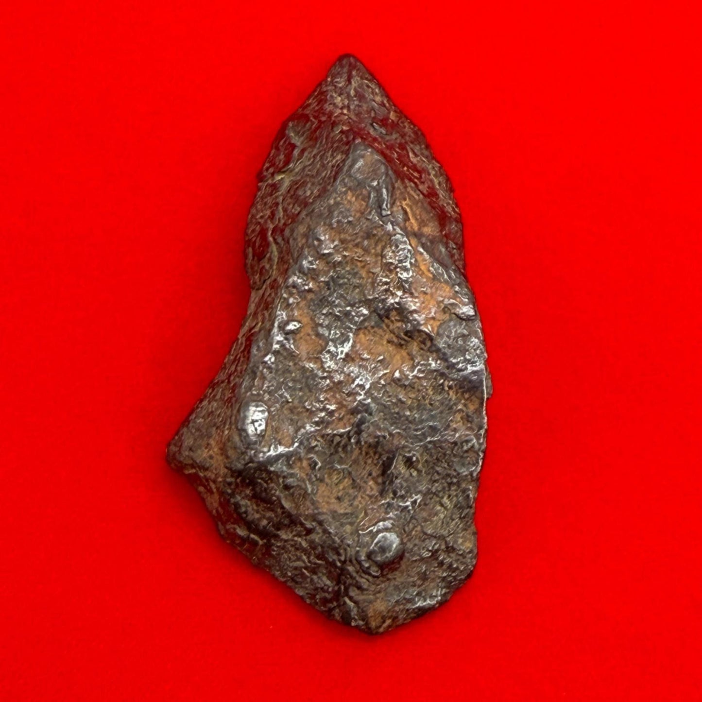 Gibeon Meteorite, Namibia, Iron IVA, 17.10 grams, Rare Meteorite, Iron Meteorite, Astronomy Gift, Space Gift, African Meteorite