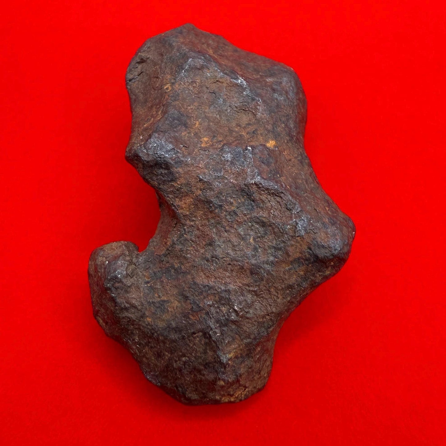 Unique Iron Meteorite Mundrabilla, 69.82 grams, Astronomy Gift, Space Gift, Iron Meteorite, Australia, Meteorite Collection, Space, COA