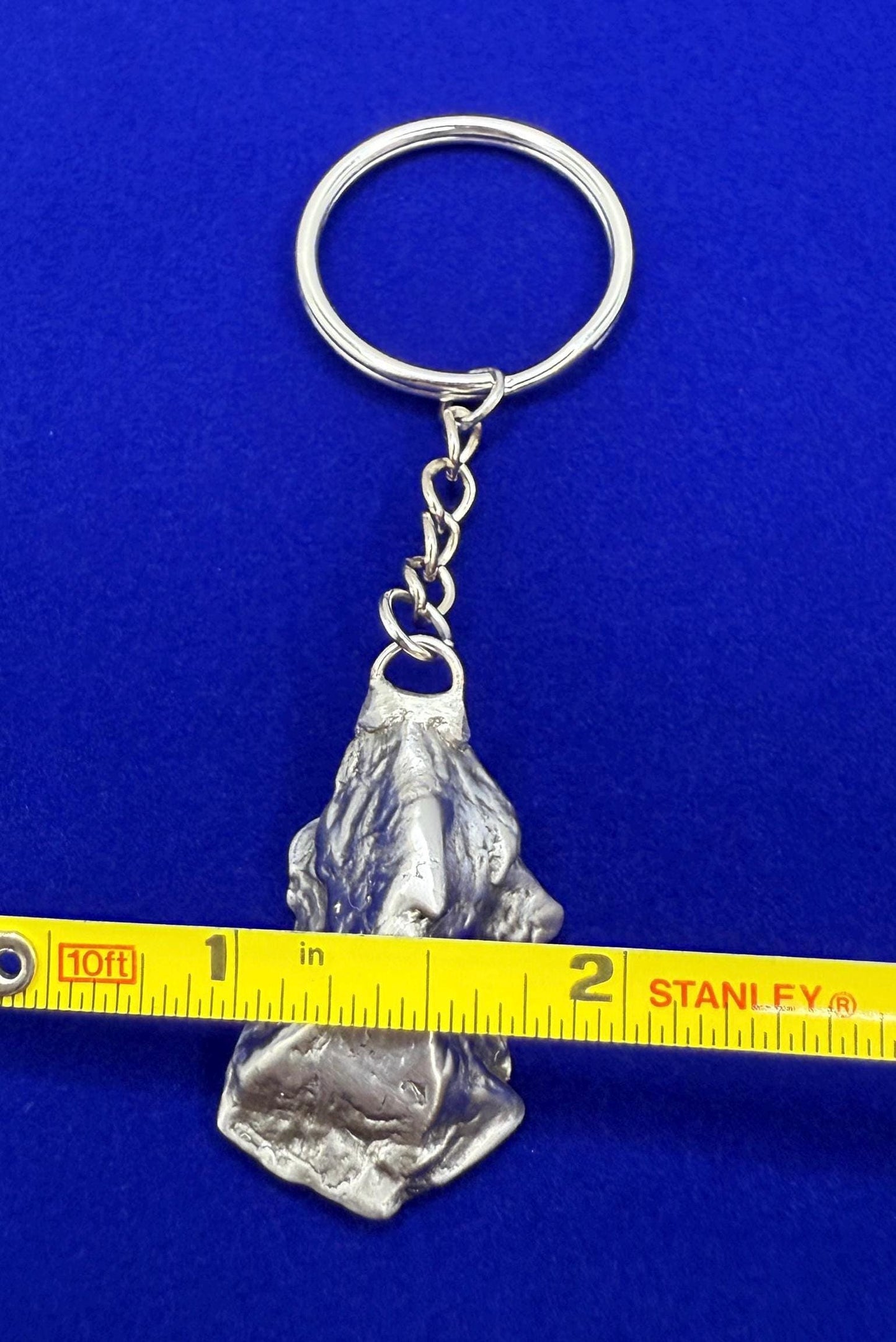 Rare Genuine Aletai Meteorite Keychain, Iron Meteorite, COA, Aletai, Astronomy Gift, Space Gift, Keychain, Space Accessories, 30.63 Grams