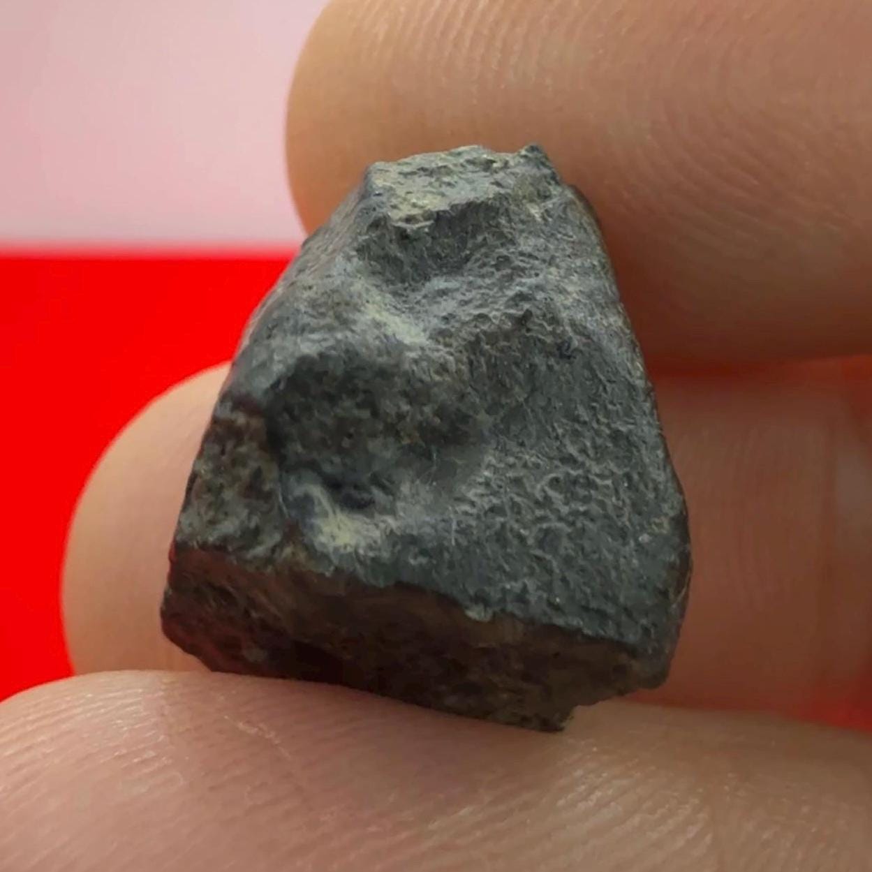 Meteorite NWA 869 Chondrite Stony Meteorite, 4.20 grams, Authentic Meteorite, Meteorite Collection, COA, Astronomy Gift, Space Gift
