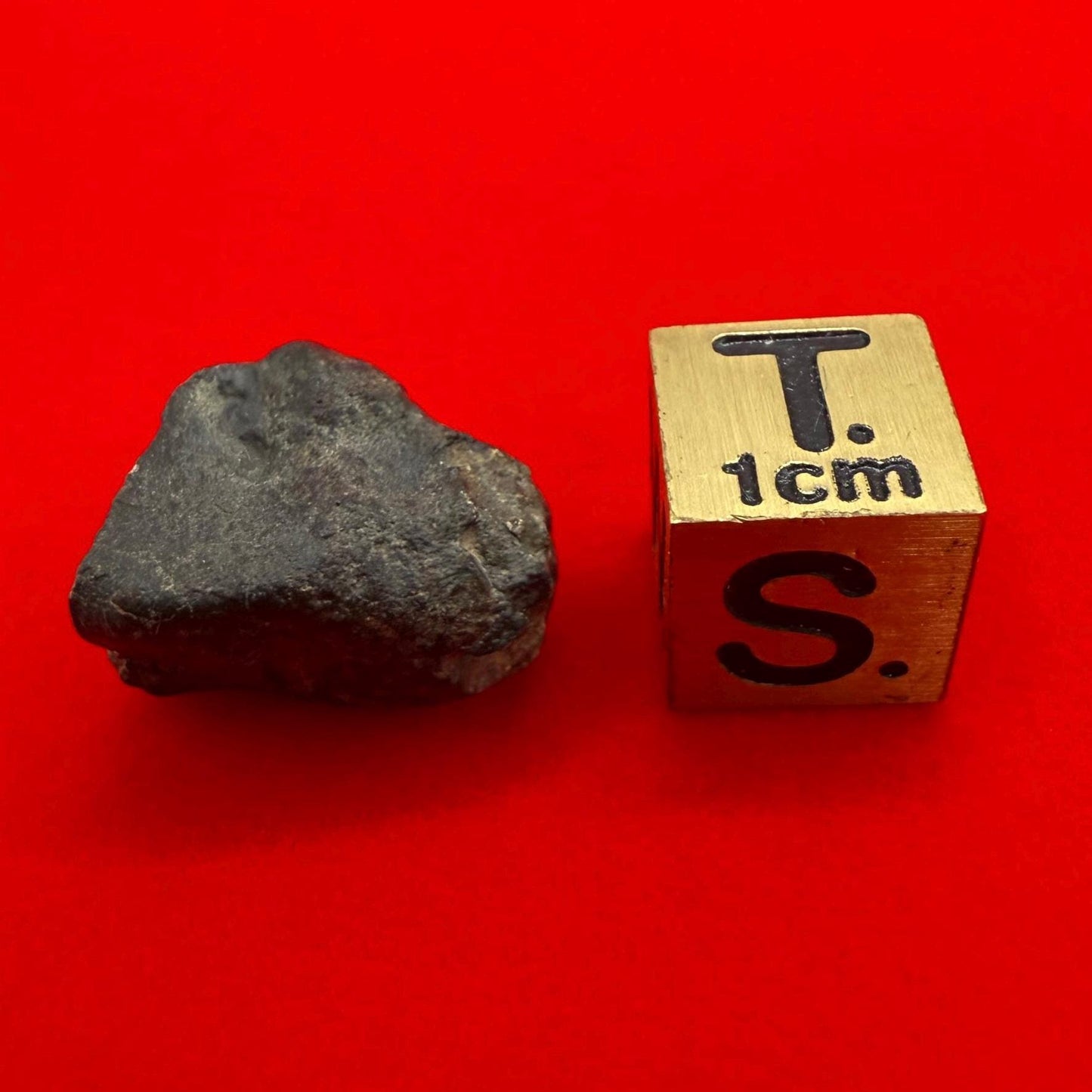 Meteorite NWA 869 Chondrite Stony Meteorite, 4.20 grams, Authentic Meteorite, Meteorite Collection, COA, Astronomy Gift, Space Gift