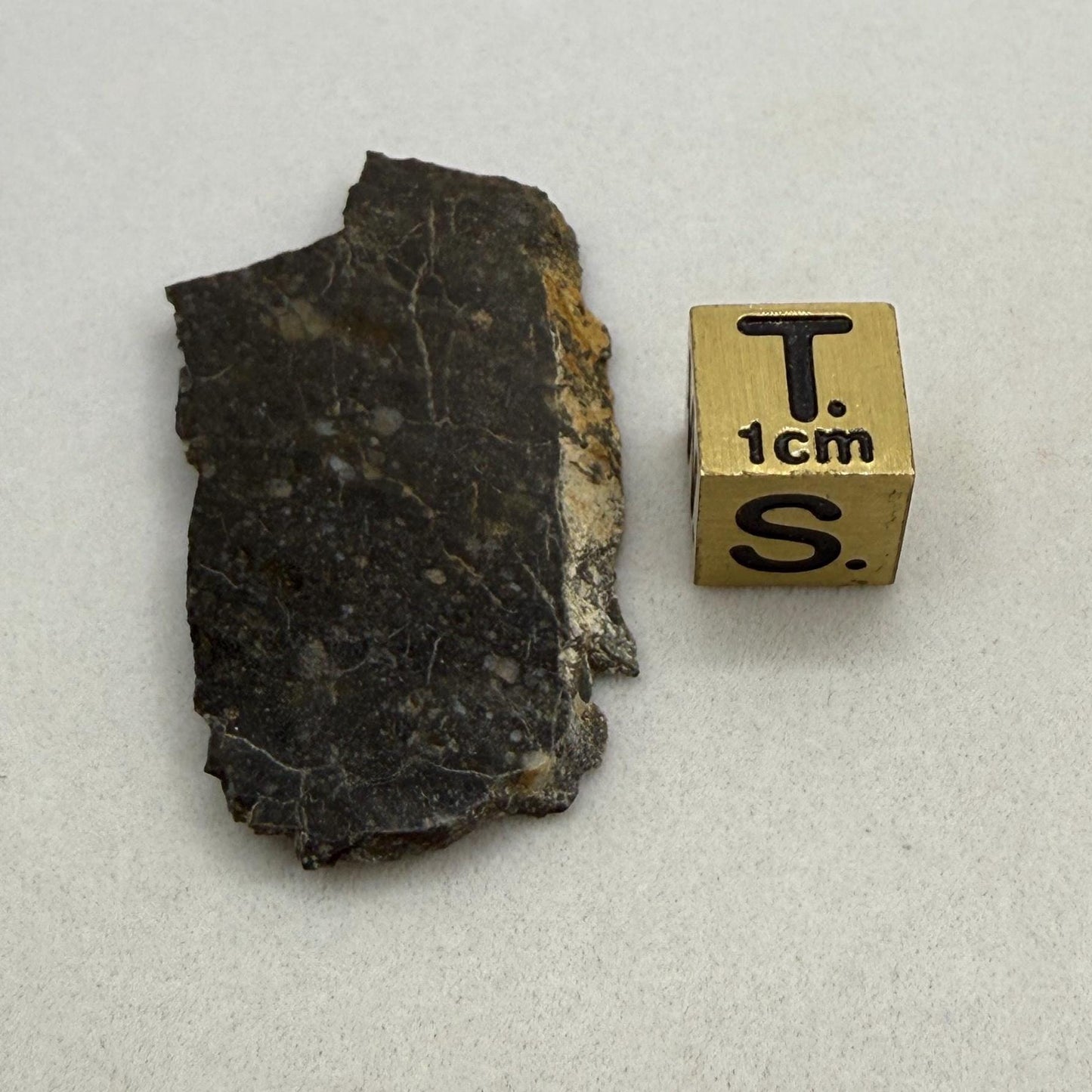 NWA 11182 Moon/Lunar Slice, Moon Rock, Moon Meteorite, Lunar Feldspathic Breccia, Meteorite Collection, Space Gift, Astronomy Gift, 4.95g