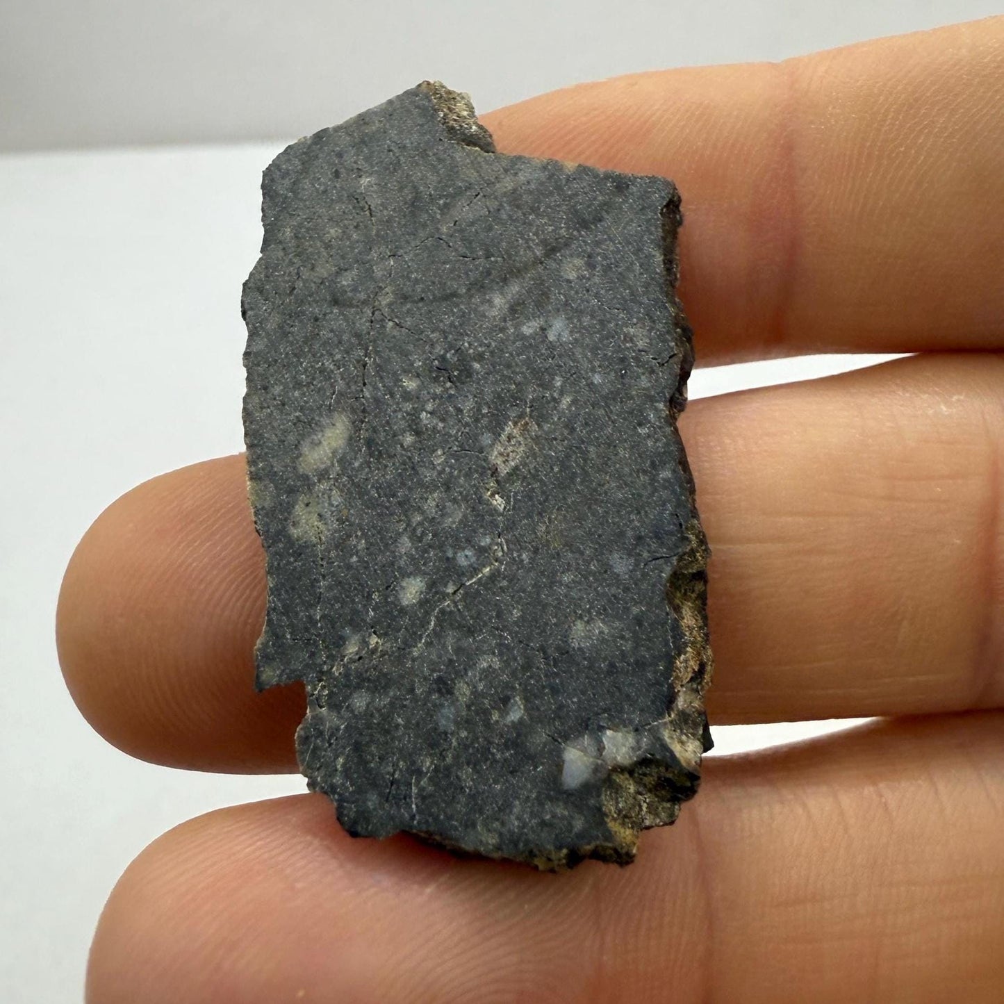 NWA 11182 Moon/Lunar Slice, Moon Rock, Moon Meteorite, Lunar Feldspathic Breccia, Meteorite Collection, Space Gift, Astronomy Gift, 4.95g