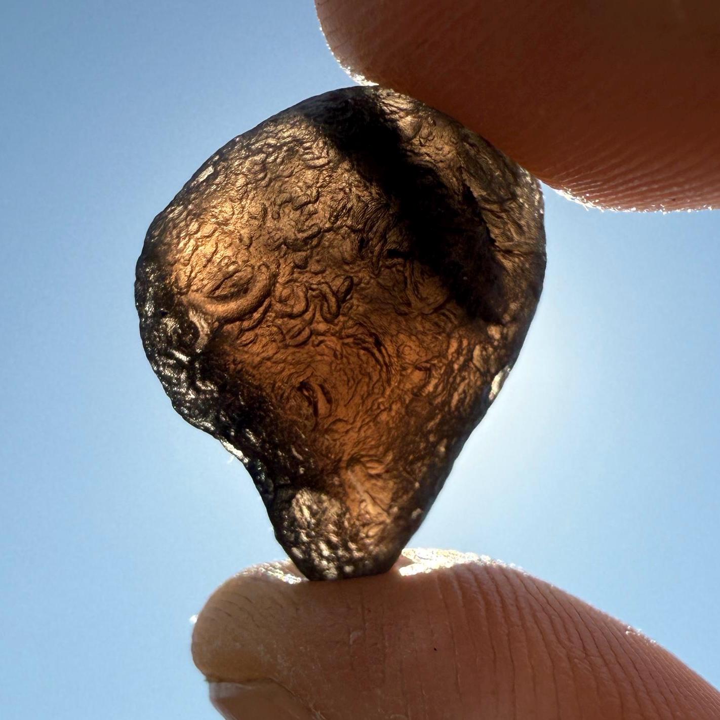 Saffordite Stone, Cintamani, Rare and Beautiful, Shamanic, Arizona, Pseudotektite, Obsidian, Metaphysical, 3.47 grams