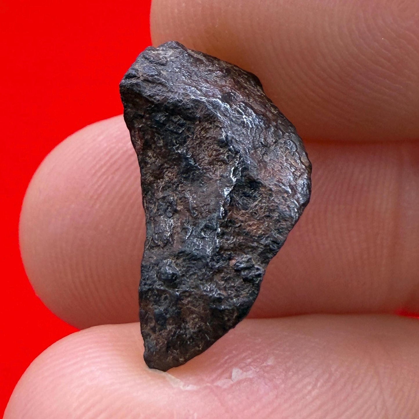 Gibeon Meteorite, Namibia, Iron IVA, 3.85 grams, Rare Meteorite, Iron Meteorite, Astronomy Gift, Space Gift, African Meteorite
