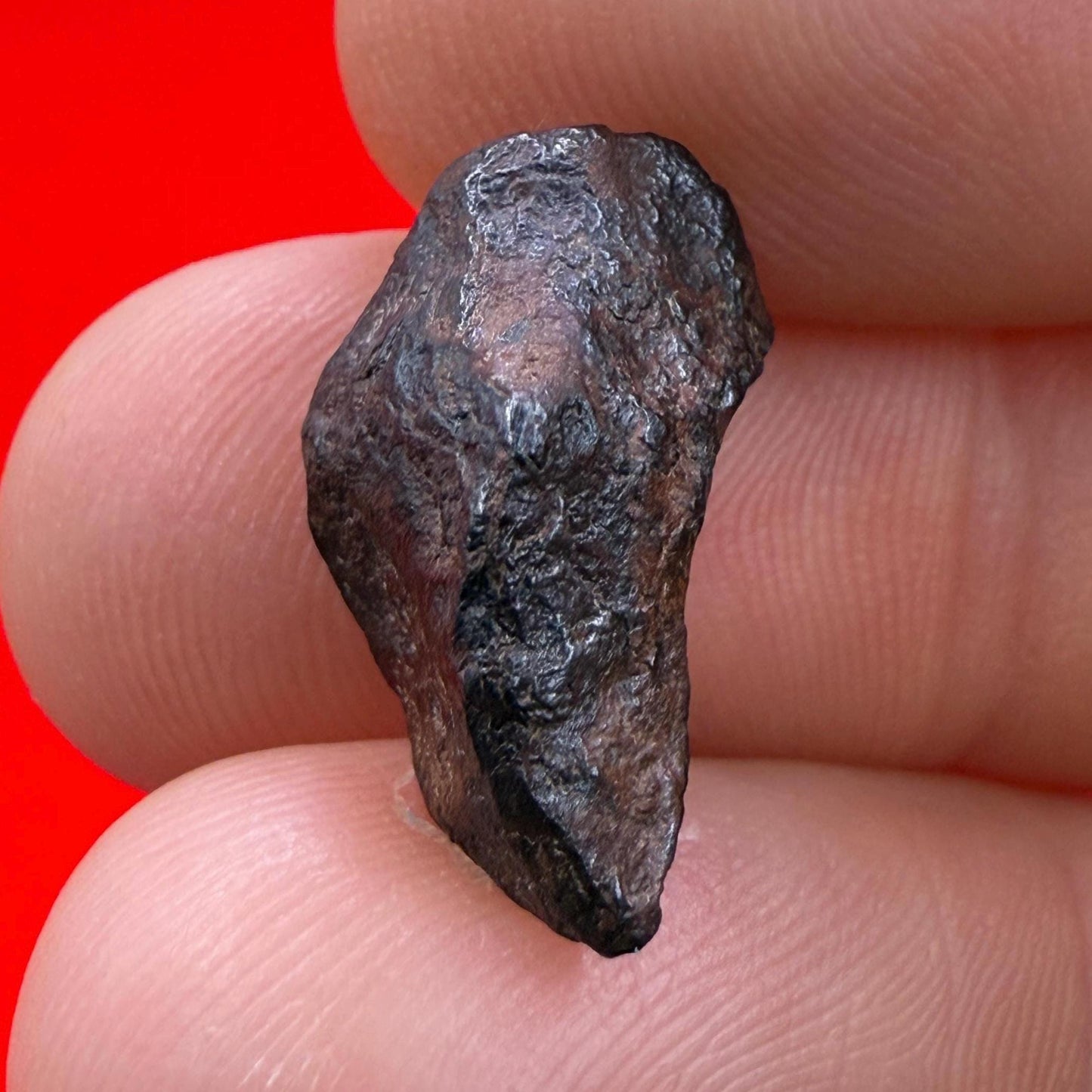 Gibeon Meteorite, Namibia, Iron IVA, 3.85 grams, Rare Meteorite, Iron Meteorite, Astronomy Gift, Space Gift, African Meteorite