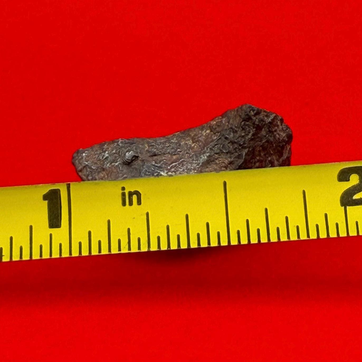 Gibeon Meteorite, Namibia, Iron IVA, 3.85 grams, Rare Meteorite, Iron Meteorite, Astronomy Gift, Space Gift, African Meteorite