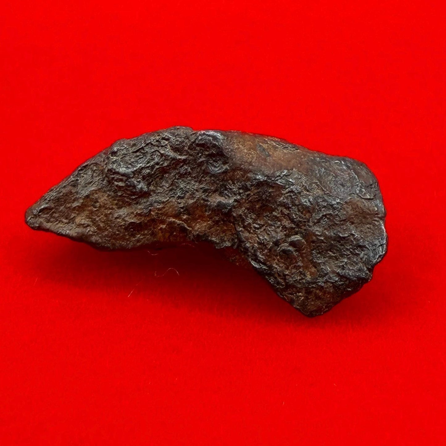 Gibeon Meteorite, Namibia, Iron IVA, 3.85 grams, Rare Meteorite, Iron Meteorite, Astronomy Gift, Space Gift, African Meteorite