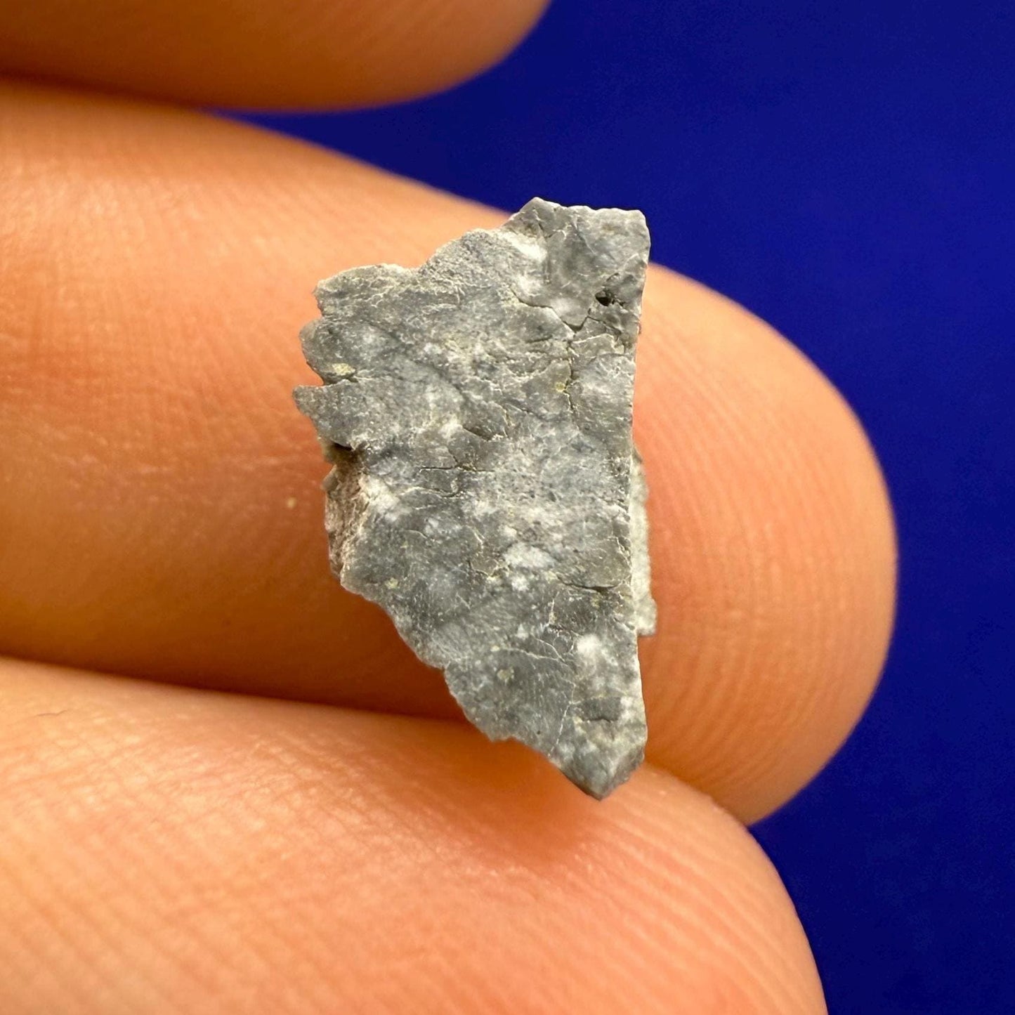 Gadamis 003 Moon/Lunar Meteorite Slice, Authentic Lunar Meteorite,Apollo Lunar, Moon Meteorite, Meteorite Collection, Moon Slice, 0.42 grams