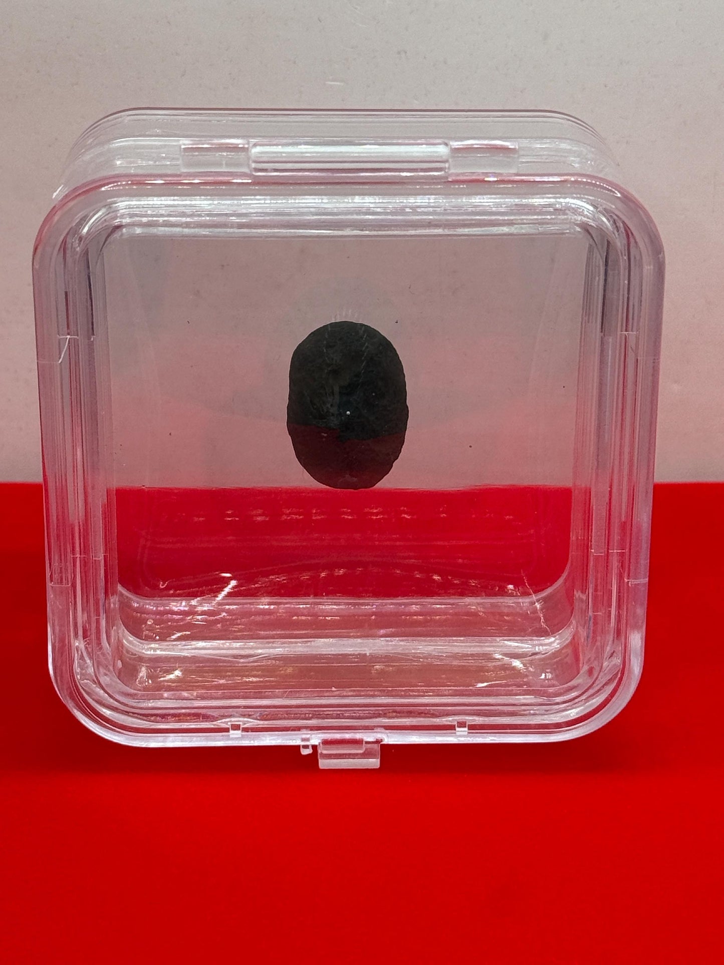 Saffordite Stone, Cintamani, Rare and Beautiful, Shamanic, Arizona, Pseudotektite, Obsidian, Metaphysical, 5.69 grams