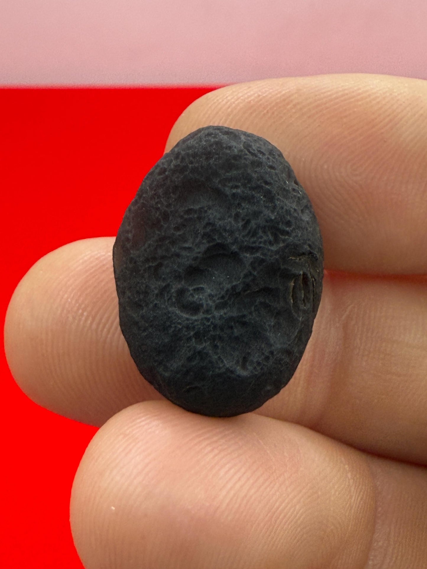 Saffordite Stone, Cintamani, Rare and Beautiful, Shamanic, Arizona, Pseudotektite, Obsidian, Metaphysical, 5.69 grams