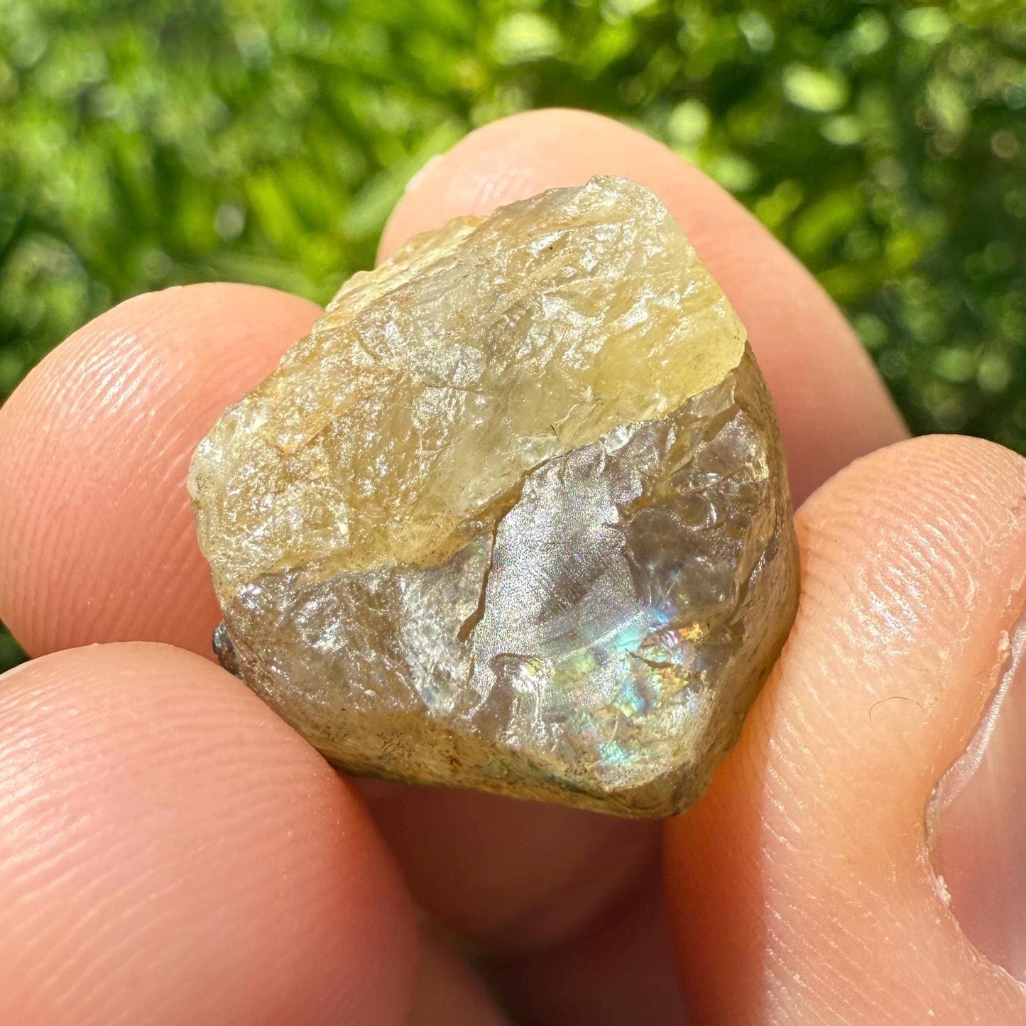 Golden Brazilian Phenacite, 8.96g (44.8 Carats) Tangerine Phenacite, High-Vibration Gemstone from Bahia, Brazil, Rare Collector’s Crystal