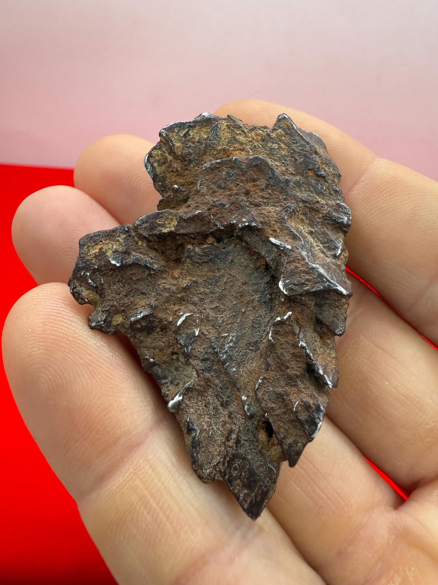 Gibeon Meteorite, Namibia, Iron IVA, 46.46 grams, Extremely Rare Meteorite, Iron Meteorite, Astronomy Gift, Space Gift, African Meteorite