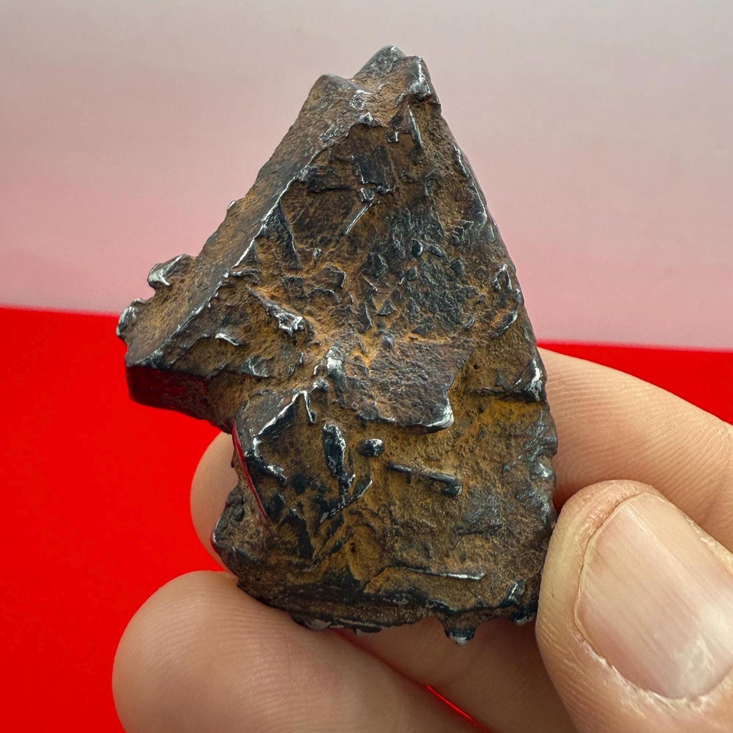 Gibeon Meteorite, Namibia, Iron IVA, 46.46 grams, Extremely Rare Meteorite, Iron Meteorite, Astronomy Gift, Space Gift, African Meteorite