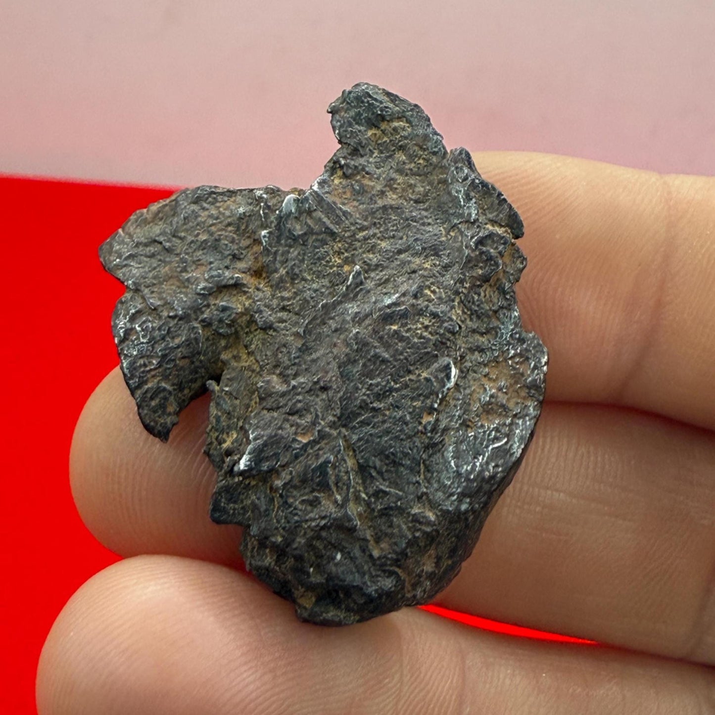 Gibeon Meteorite, Namibia, Iron IVA, 15.92 grams, Rare Meteorite, Iron Meteorite, Astronomy Gift, Space Gift, African Meteorite