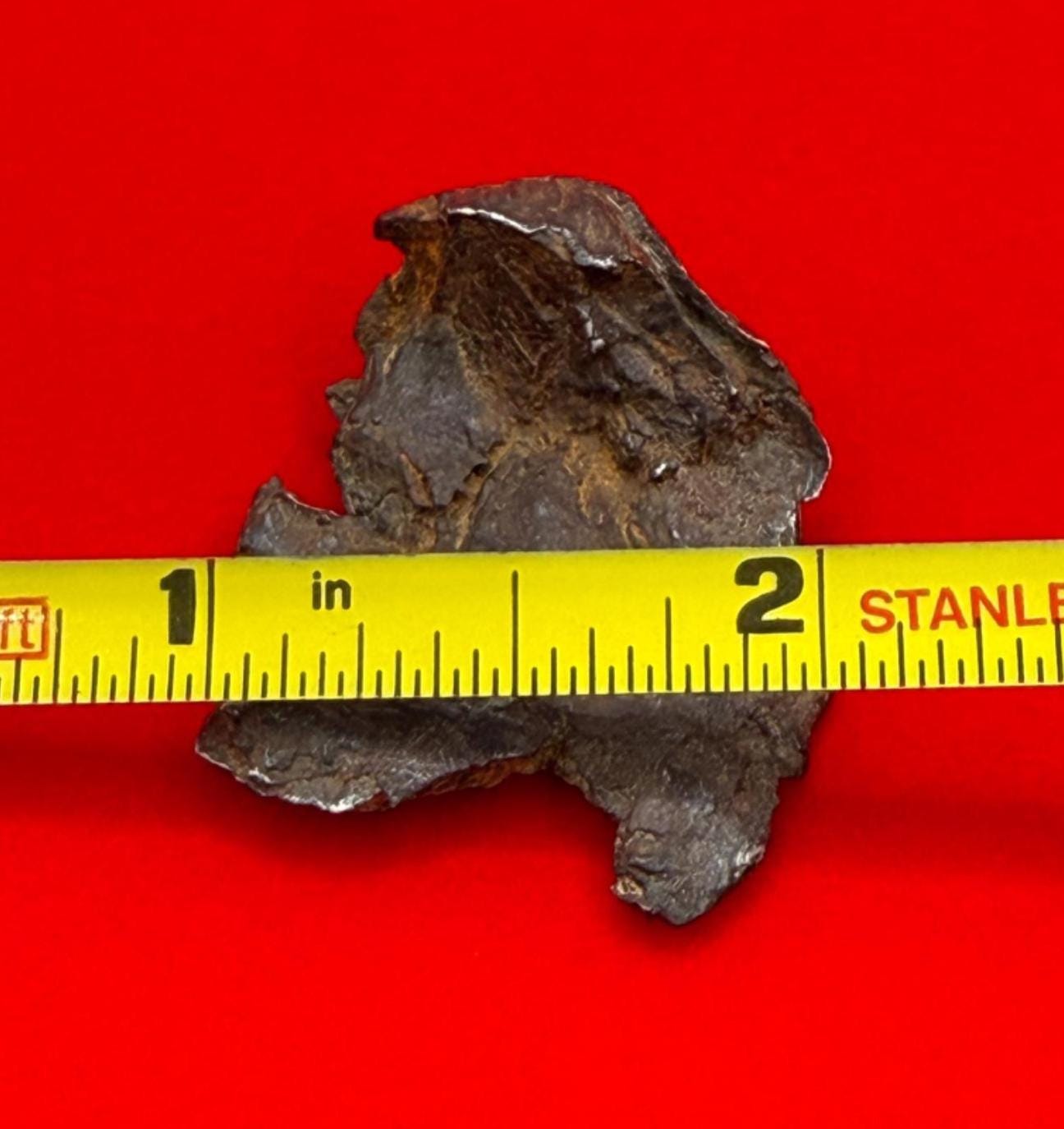 Gibeon Meteorite, Namibia, Iron IVA, 15.92 grams, Rare Meteorite, Iron Meteorite, Astronomy Gift, Space Gift, African Meteorite