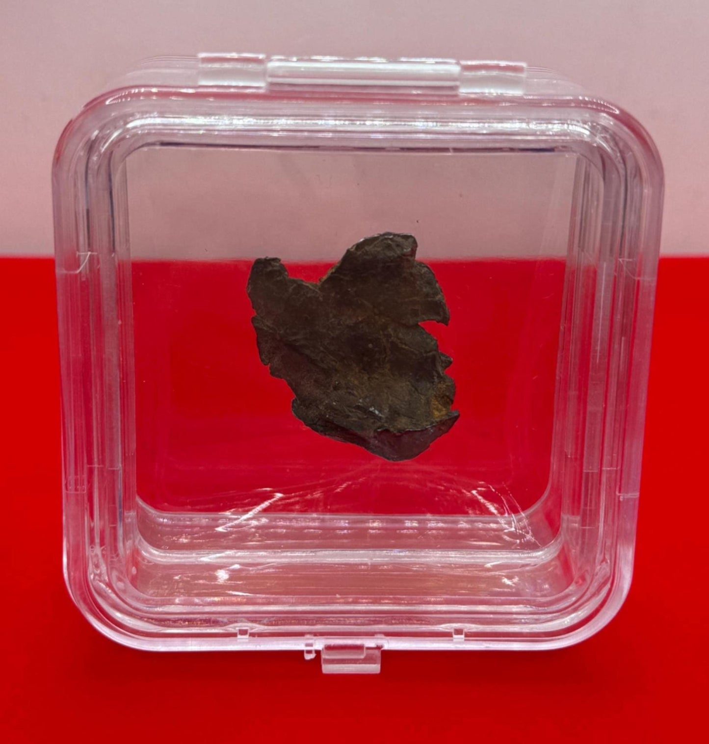 Gibeon Meteorite, Namibia, Iron IVA, 15.92 grams, Rare Meteorite, Iron Meteorite, Astronomy Gift, Space Gift, African Meteorite