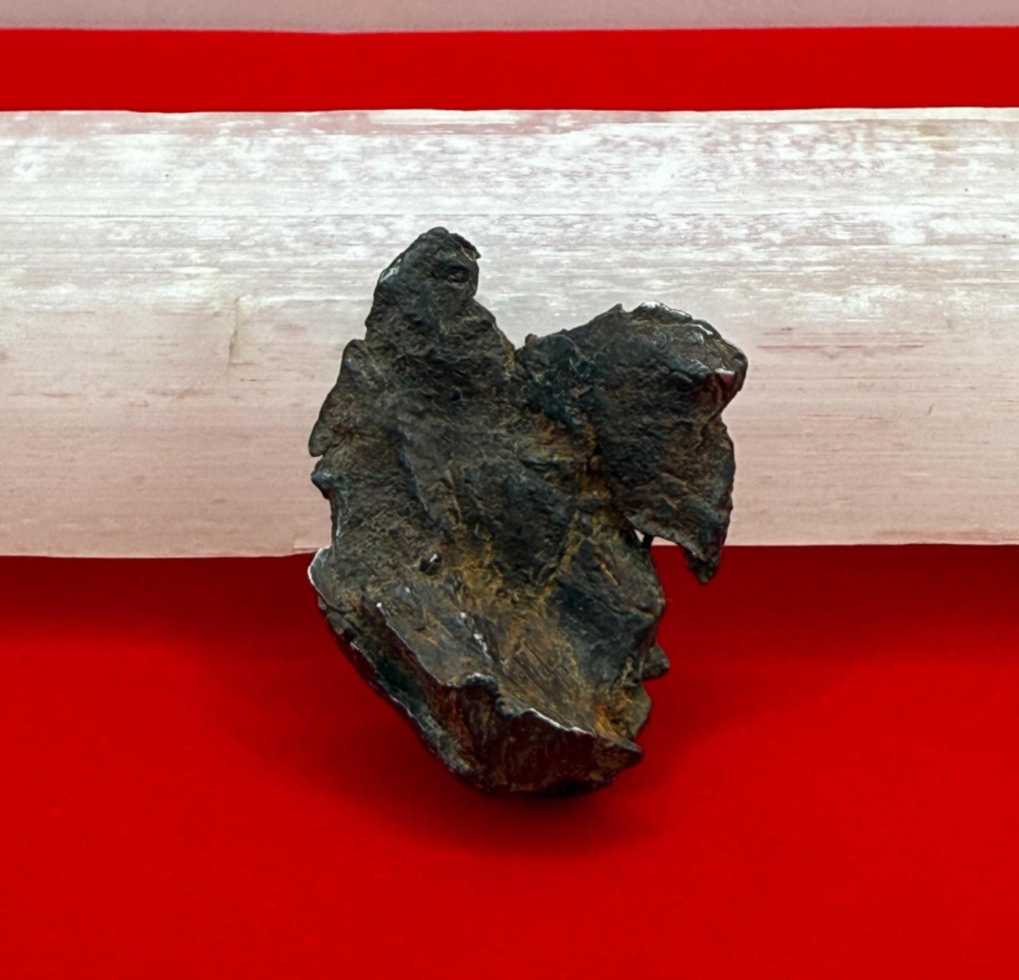 Gibeon Meteorite, Namibia, Iron IVA, 15.92 grams, Rare Meteorite, Iron Meteorite, Astronomy Gift, Space Gift, African Meteorite