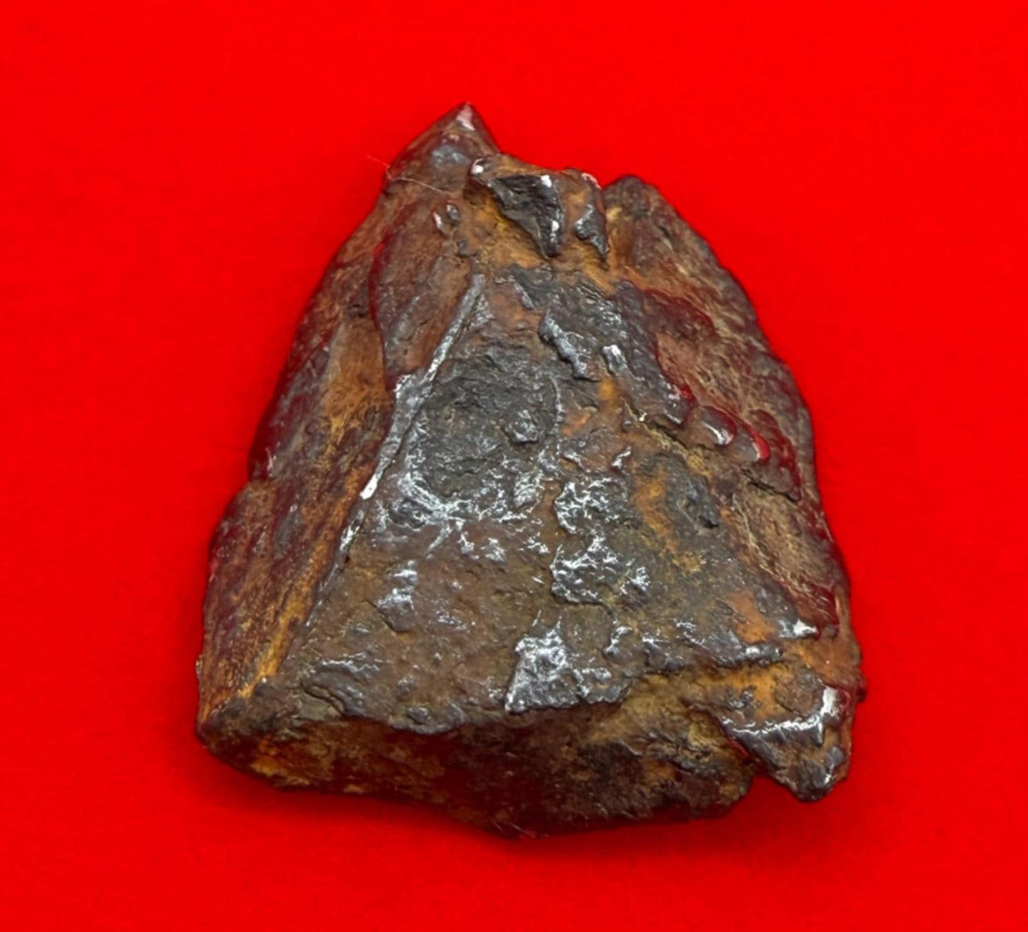 Gibeon Meteorite, Namibia, Iron IVA, 16.63 grams, Rare Meteorite, Iron Meteorite, Astronomy Gift, Space Gift, African Meteorite