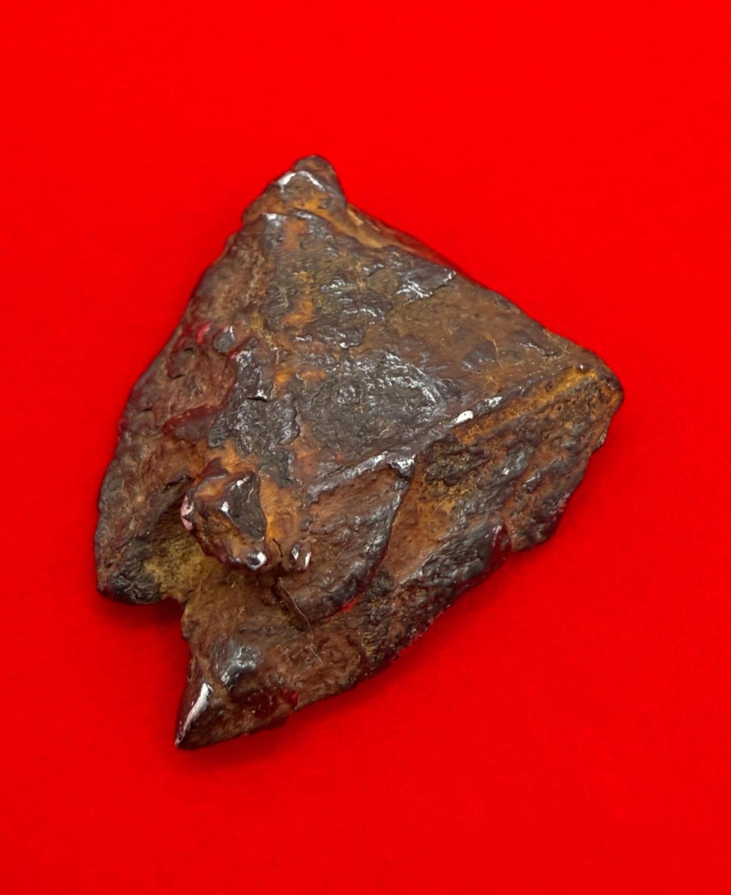 Gibeon Meteorite, Namibia, Iron IVA, 16.63 grams, Rare Meteorite, Iron Meteorite, Astronomy Gift, Space Gift, African Meteorite