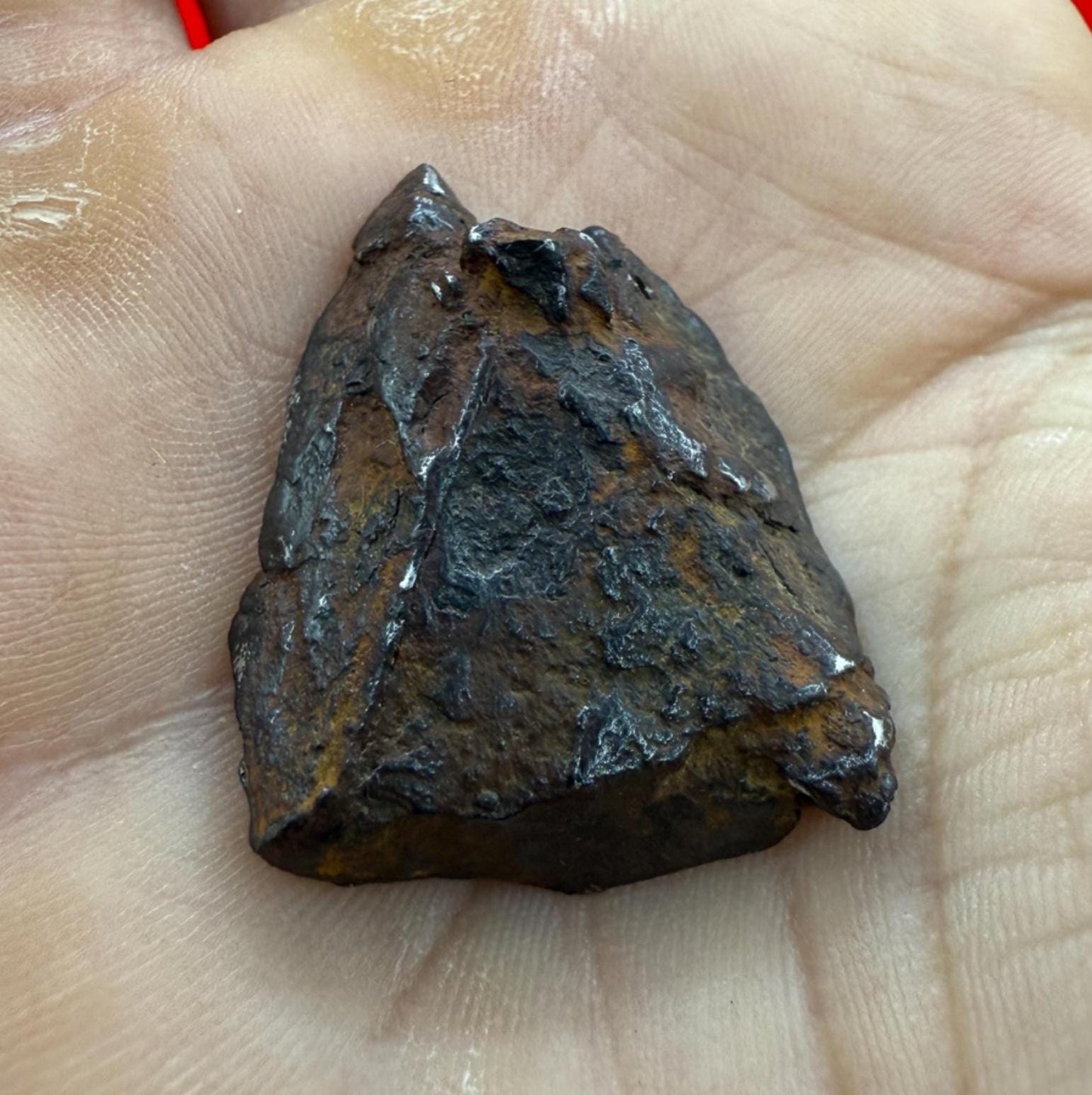 Gibeon Meteorite, Namibia, Iron IVA, 16.63 grams, Rare Meteorite, Iron Meteorite, Astronomy Gift, Space Gift, African Meteorite