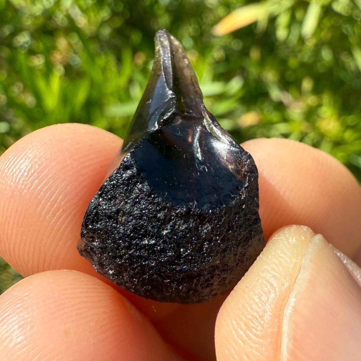 Saffordite Specimen, Cintamani, Rare and Beautiful, Shamanic, Arizona, Pseudotektite, Obsidian, Metaphysical, 4.27 grams