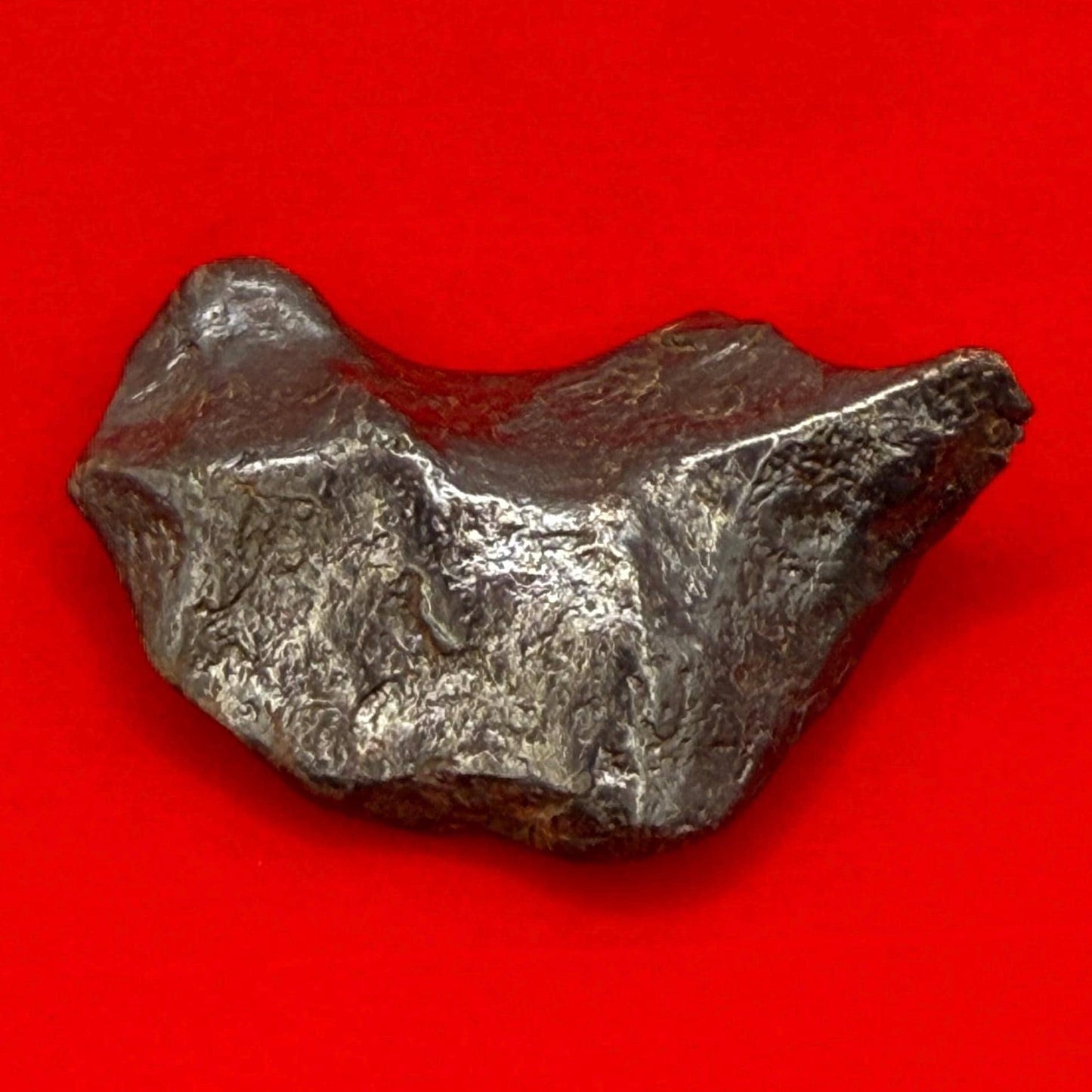 Canyon Diablo Meteorite Specimen, Arizona, 71.04 grams, Rare Meteorite, Iron Meteorite, Astronomy Gift, Space Gift, Energy Work, Meteorite