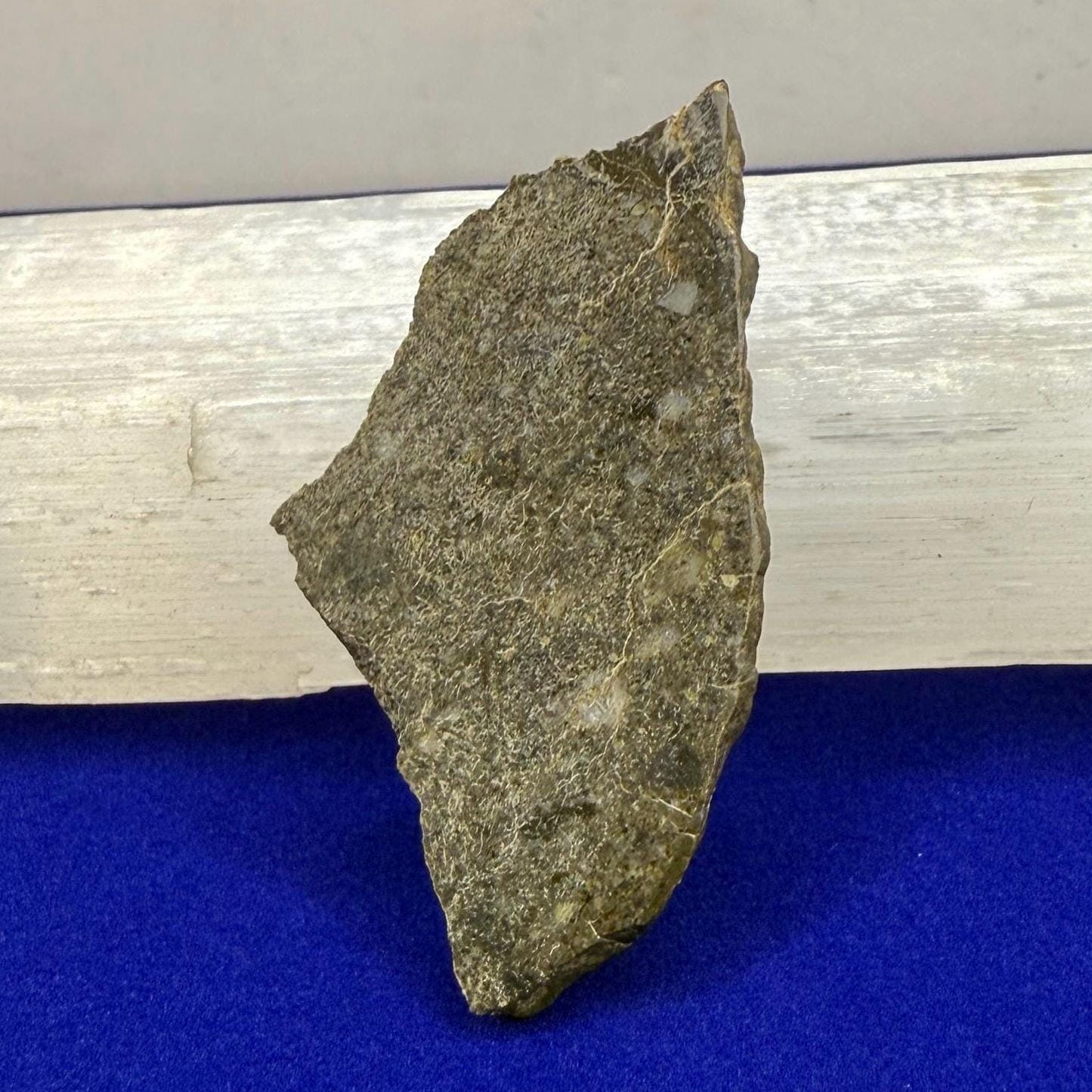 NWA 11182 Moon/Lunar Slice, Moon Rock, Moon Meteorite, Lunar Feldspathic Breccia, Meteorite Collection, Space Gift, Astronomy Gift, 5.27g