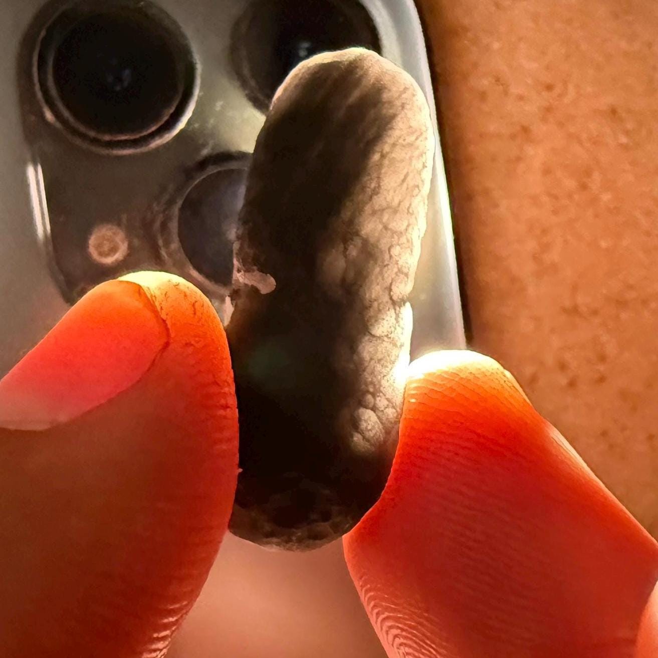 Saffordite Stone, Cintamani, Rare and Beautiful, Shamanic, Arizona, Pseudotektite, Obsidian, Metaphysical, 5.62 grams