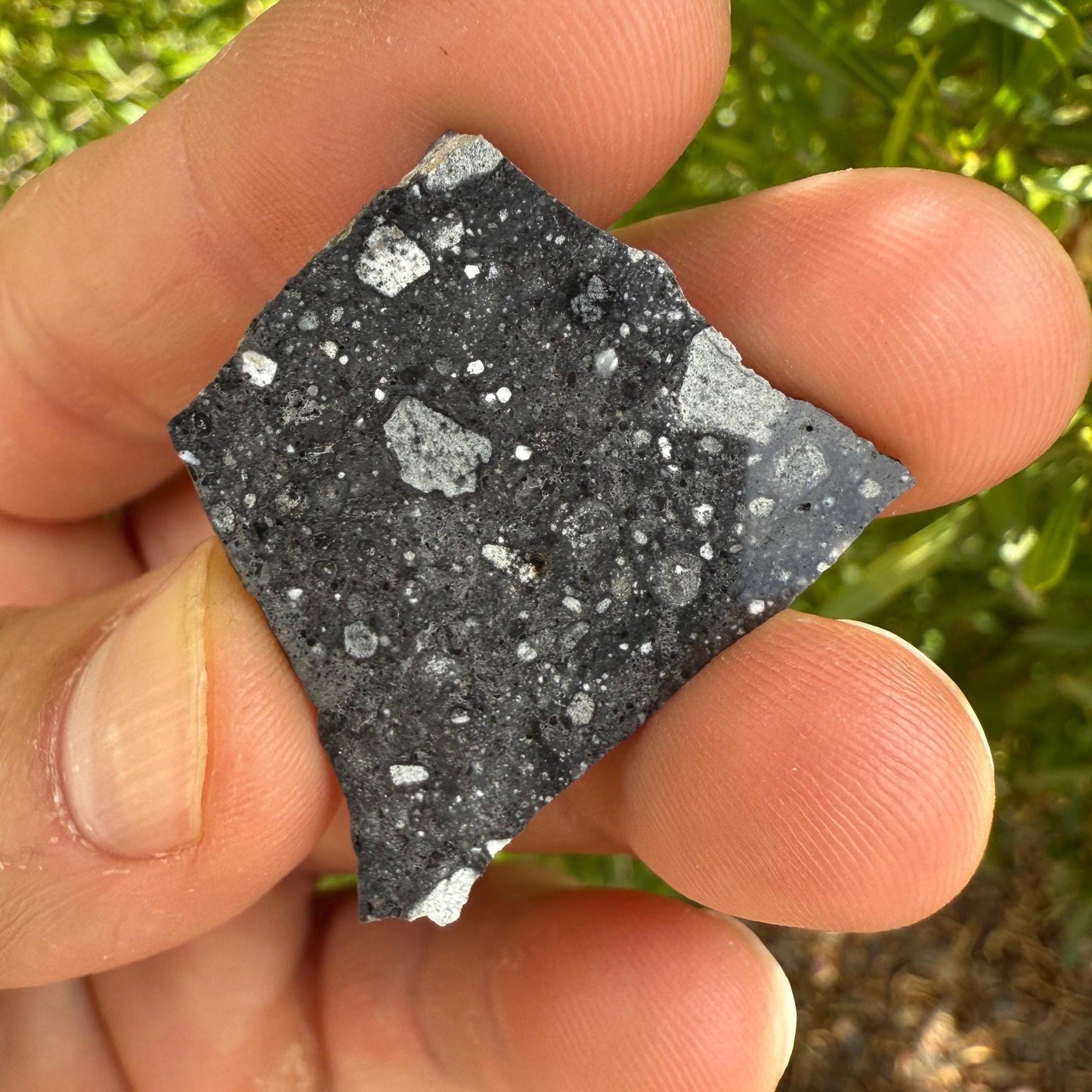 NWA 17679 Lunar Meteorite Slice, Rare Feldspathic Breccia Lunar, Mauritania, Africa, Moon Rock, Astronomy Gift, 3.91 grams