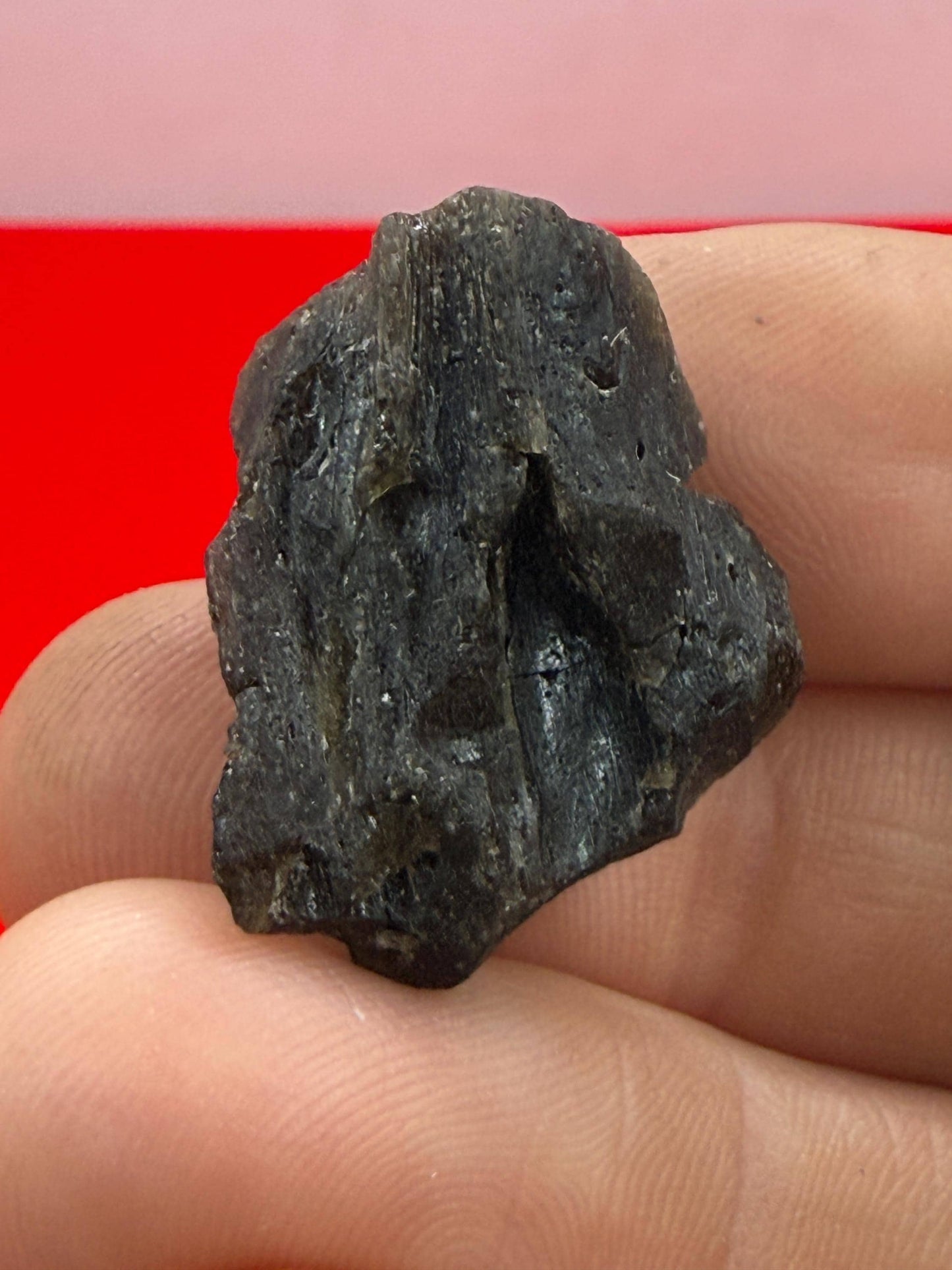 Darwin Glass, Darwinite, Tektite, Grounding, Manifestation Talisman, Impactite from Tasmania, Astronomy Gift, Tektite Collection, 4.23 grams