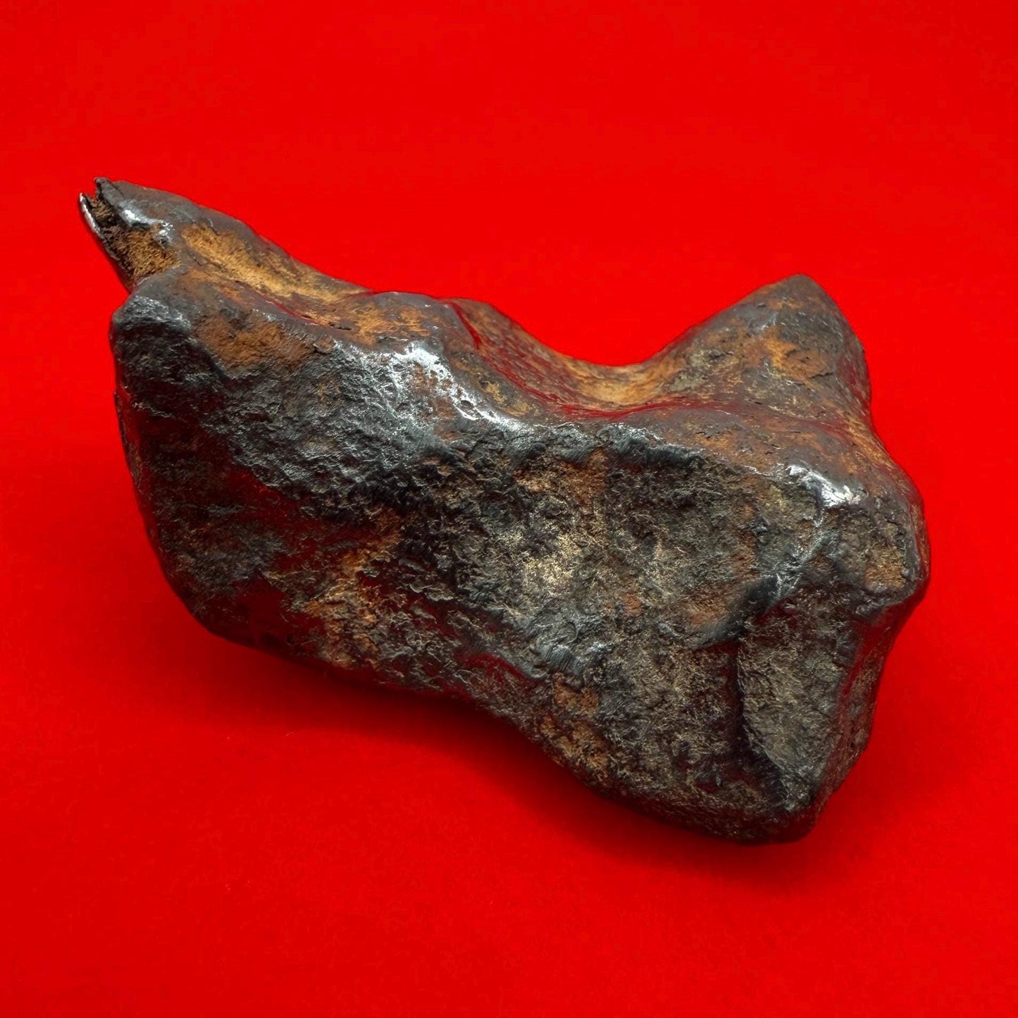 Unique Iron Meteorite Mundrabilla, 105.19 grams, Astronomy Gift, Space Gift, Iron Meteorite, Australia, Meteorite Collection, Space, COA