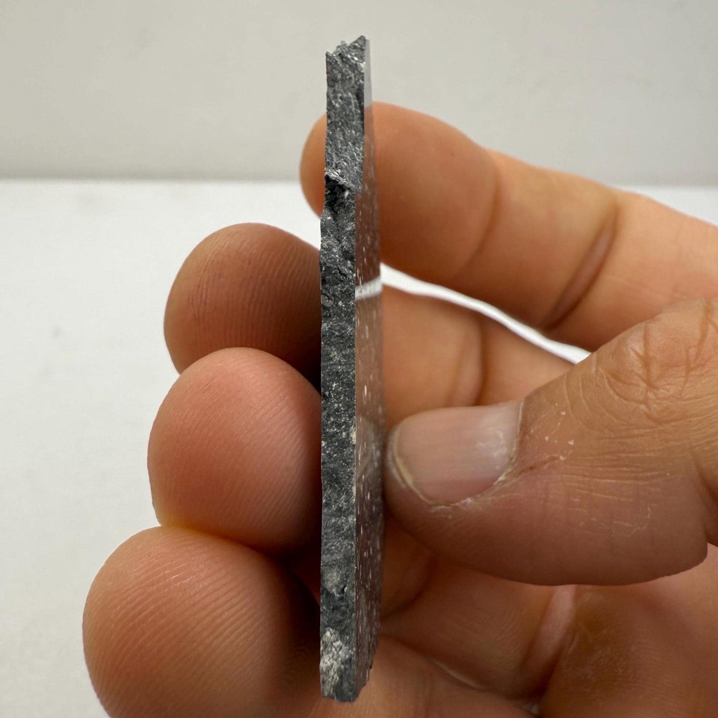 NWA 17679 Lunar Meteorite Slice, Rare Feldspathic Breccia Lunar, Mauritania, Africa, Moon Rock, Astronomy Gift, 7.23 grams