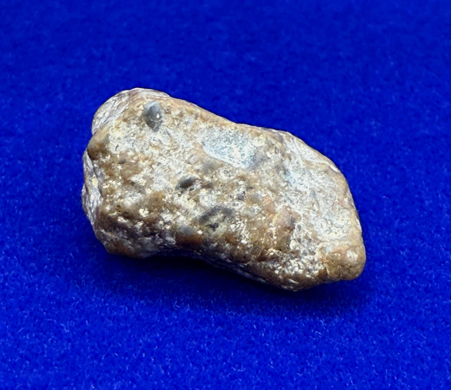 Moon|Lunar Meteorite Pendant, NWA 13974, Feldspathic Breccia, Moon Meteorite, Meteorite Collection, Lunar Feldspathic Breccia, 1.77 grams