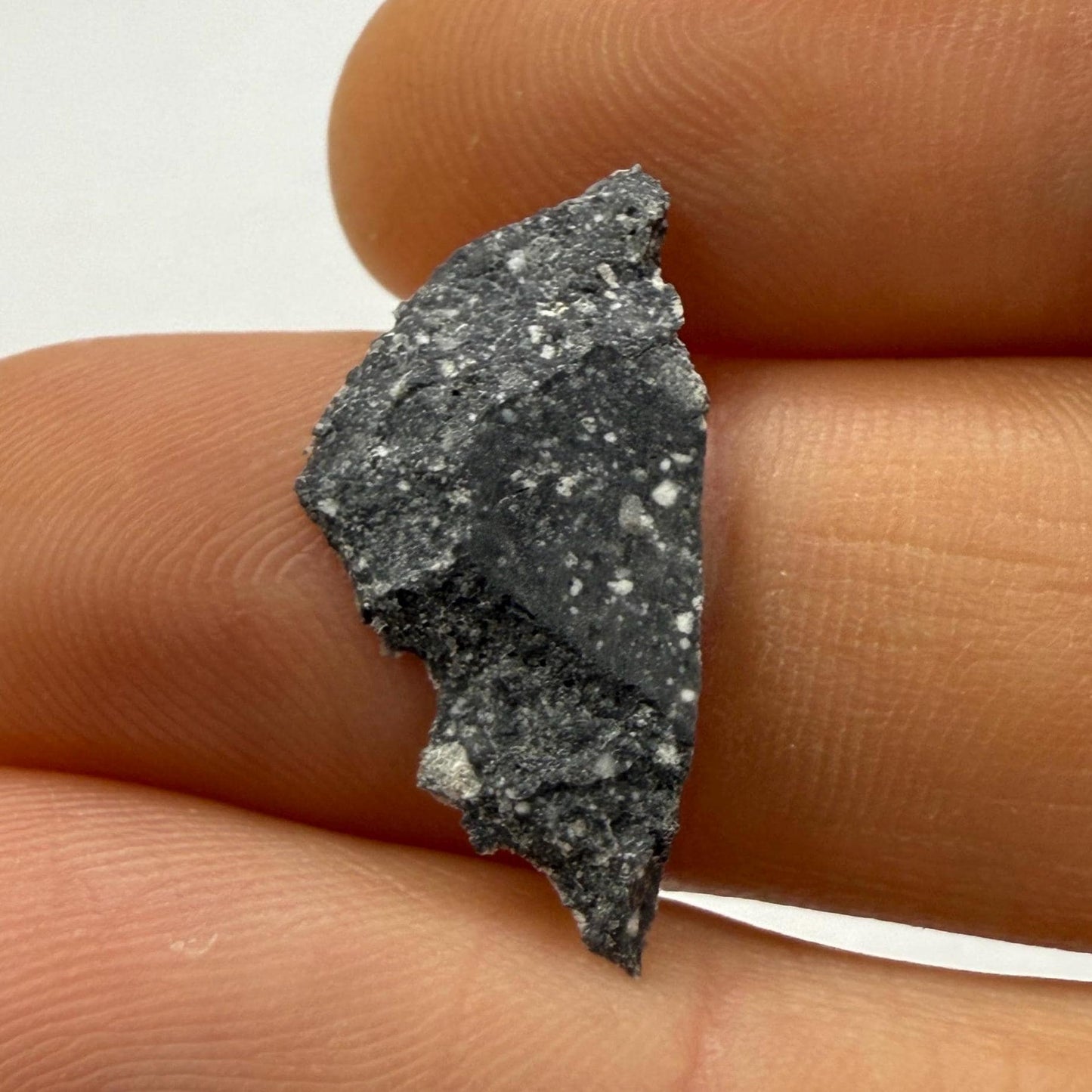 NWA 17679 Lunar Meteorite Slice, Rare Feldspathic Breccia Lunar, Mauritania, Africa, Moon Rock, Astronomy Gift, 0.69 grams