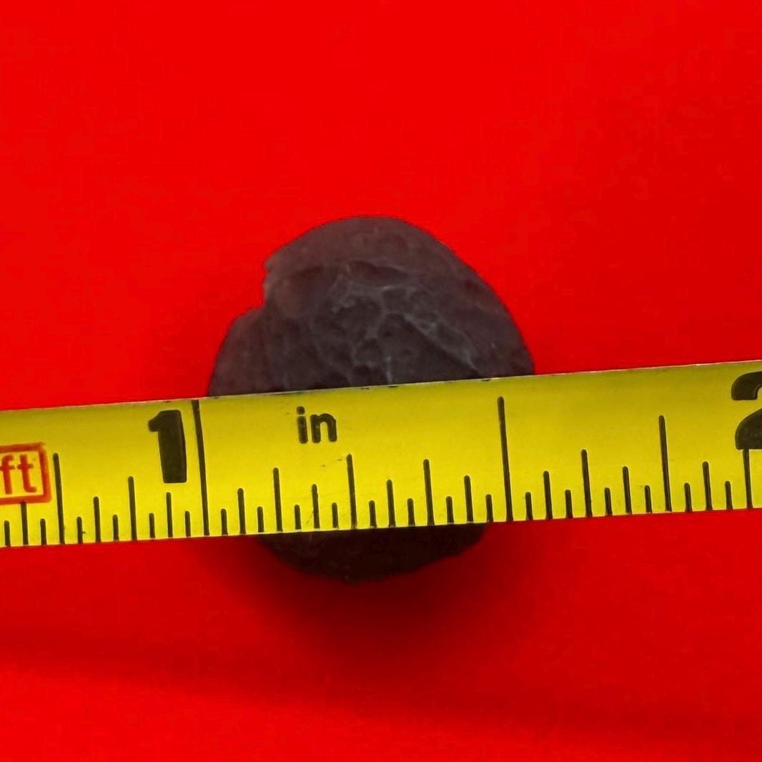Saffordite Stone, Cintamani, Rare and Beautiful, Shamanic, Arizona, Pseudotektite, Obsidian, Metaphysical, 3.64 grams