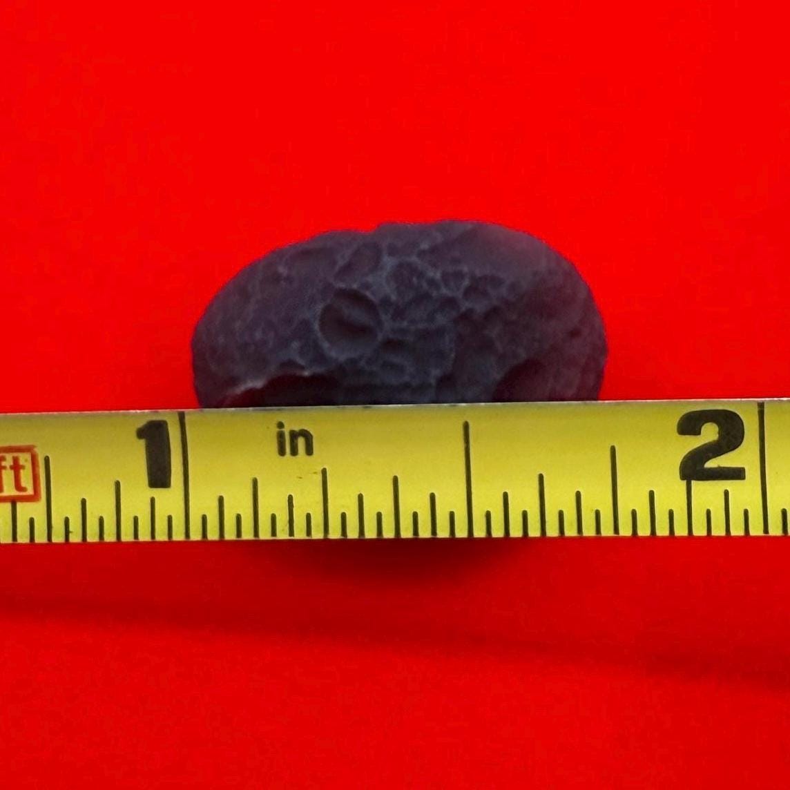 Saffordite Stone, Cintamani, Rare and Beautiful, Shamanic, Arizona, Pseudotektite, Obsidian, Metaphysical, 3.64 grams