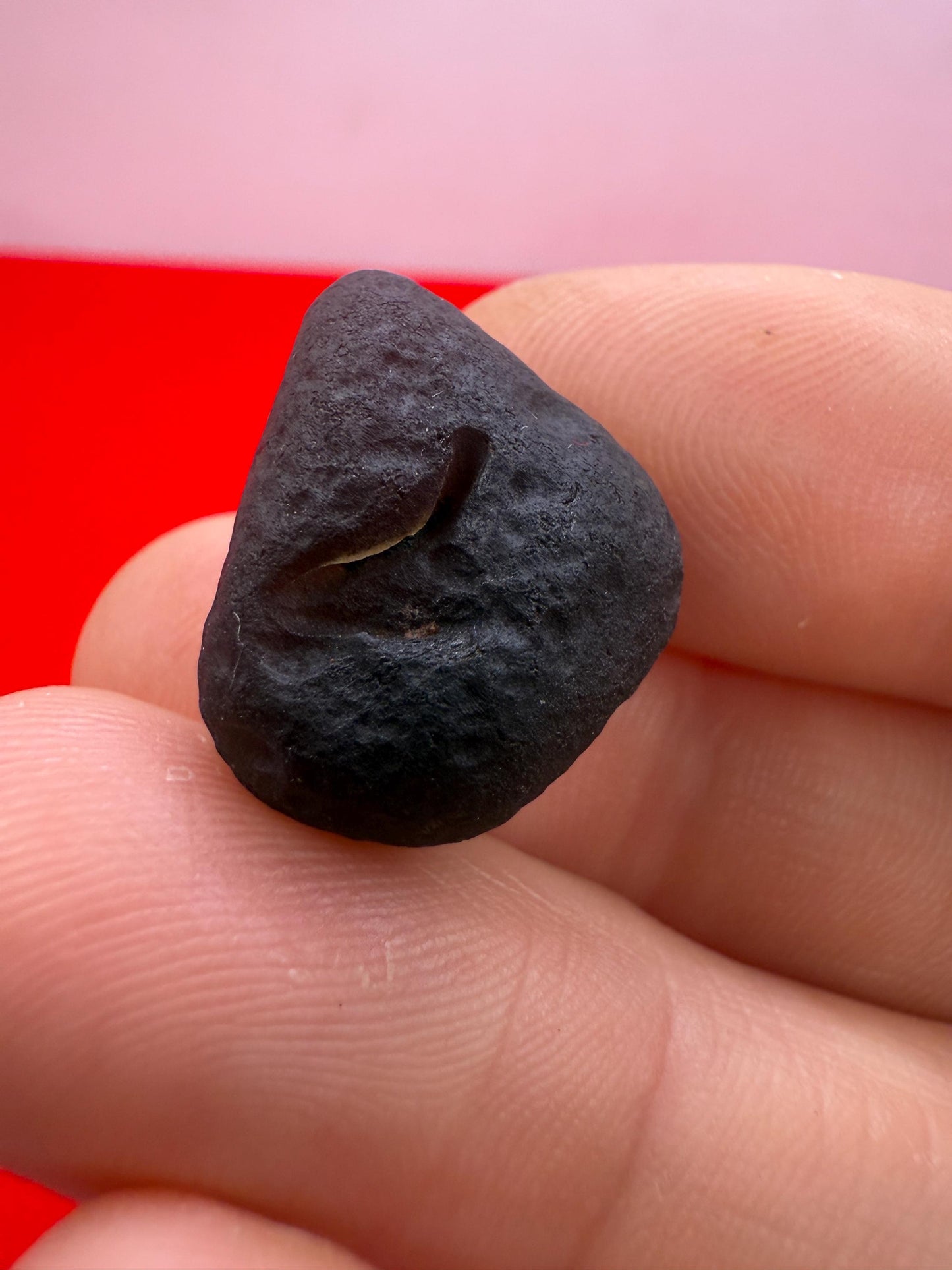 Saffordite Specimen, Cintamani, Rare and Beautiful, Triangle on Surface, Shamanic, Arizona, Pseudotektite, Obsidian, Metaphysical, 4.68g
