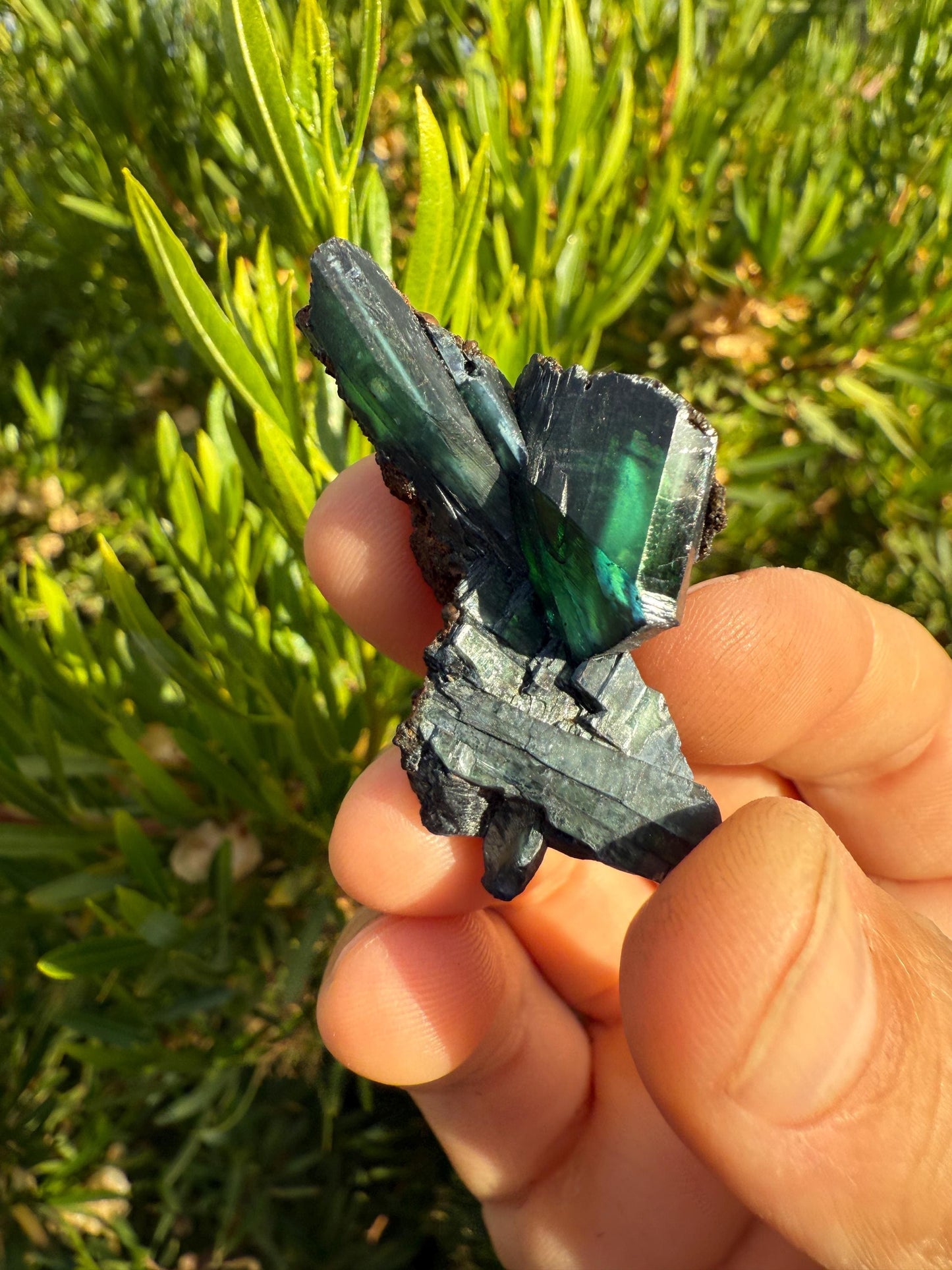 Rare Vivianite Crystal, Vivianite, Vivianite, Brazilian Vivianite, Reiki Energy, Crystal Collection, Reiki, 13.22 grams|66.1 carats