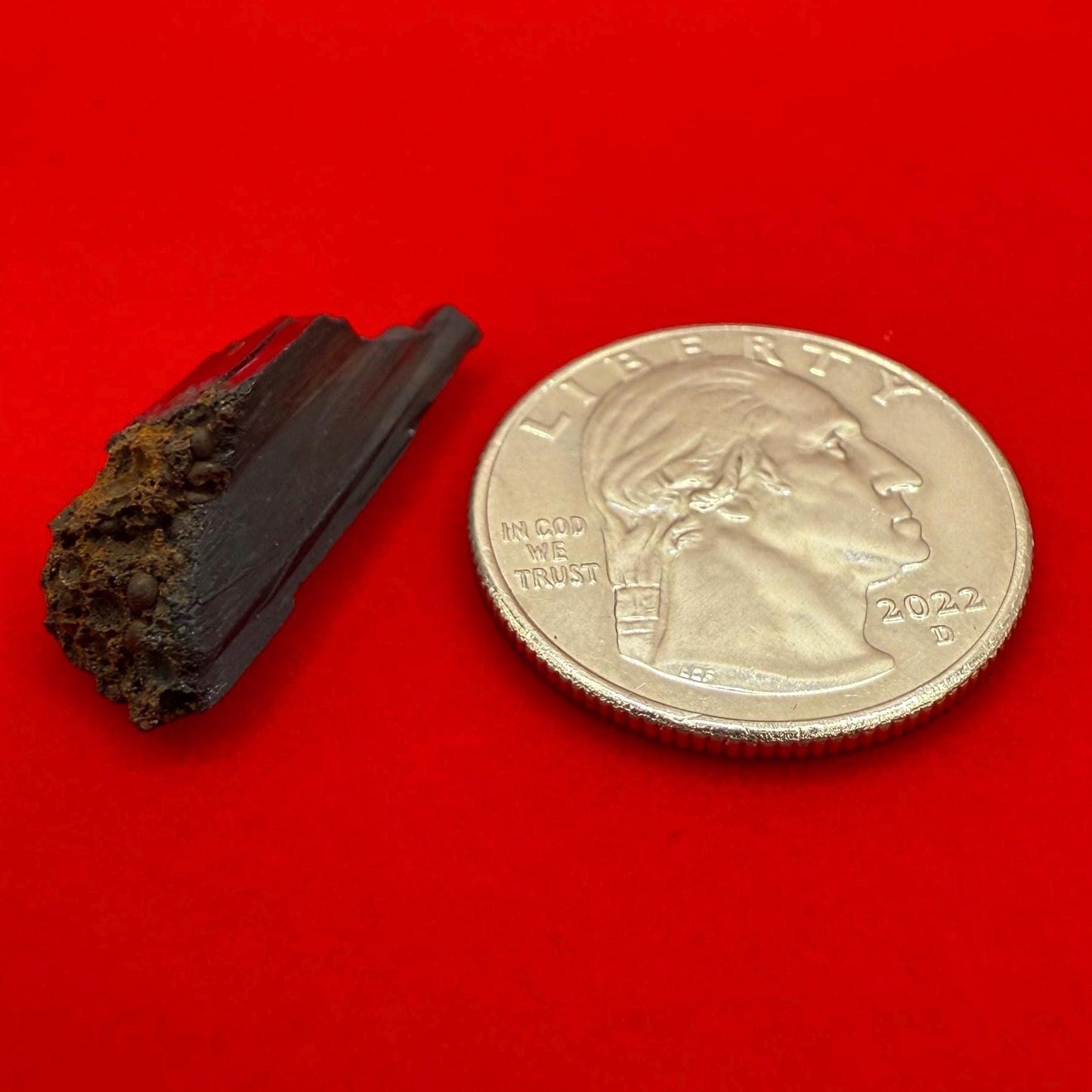 Rare Vivianite Crystal, Vivianite, Vivianite, Brazilian Vivianite, Reiki Energy, Crystal Collection, Reiki, 2.12 grams| 10.6 carats