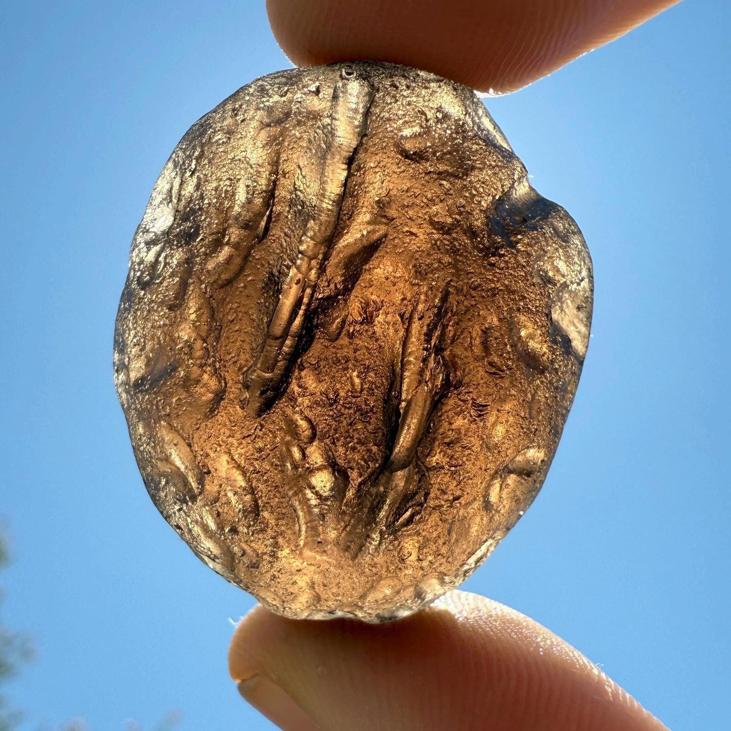 Colombianite Specimen, Beautiful and Translucent, Shamanic, Tektite, Pseudotektite, Obsidian, Healing Energy, Metaphysical, 29.15 grams