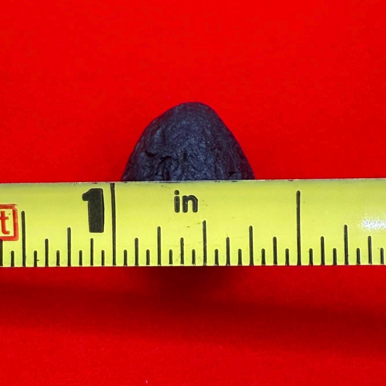 Saffordite Stone, Cintamani, Rare and Beautiful, Shamanic, Arizona, Pseudotektite, Obsidian, Metaphysical, 1.37 grams