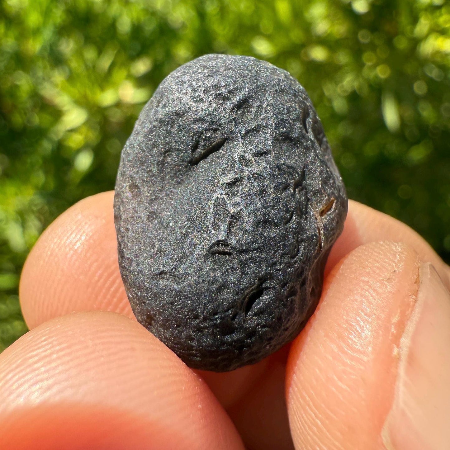 Saffordite Stone, Cintamani, Rare and Beautiful, Shamanic, Arizona, Pseudotektite, Obsidian, Metaphysical, 5.69 grams