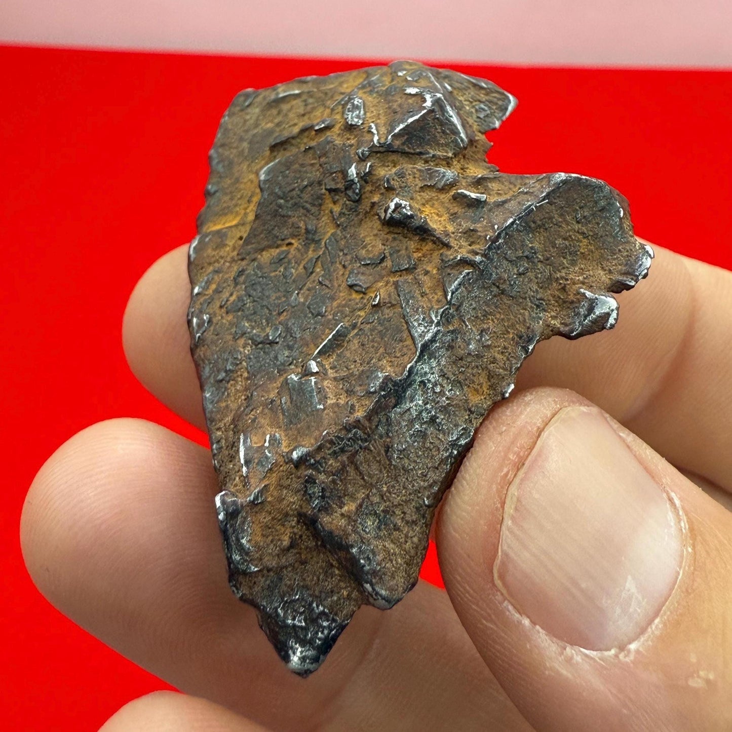 Gibeon Meteorite, Namibia, Iron IVA, 46.46 grams, Extremely Rare Meteorite, Iron Meteorite, Astronomy Gift, Space Gift, African Meteorite