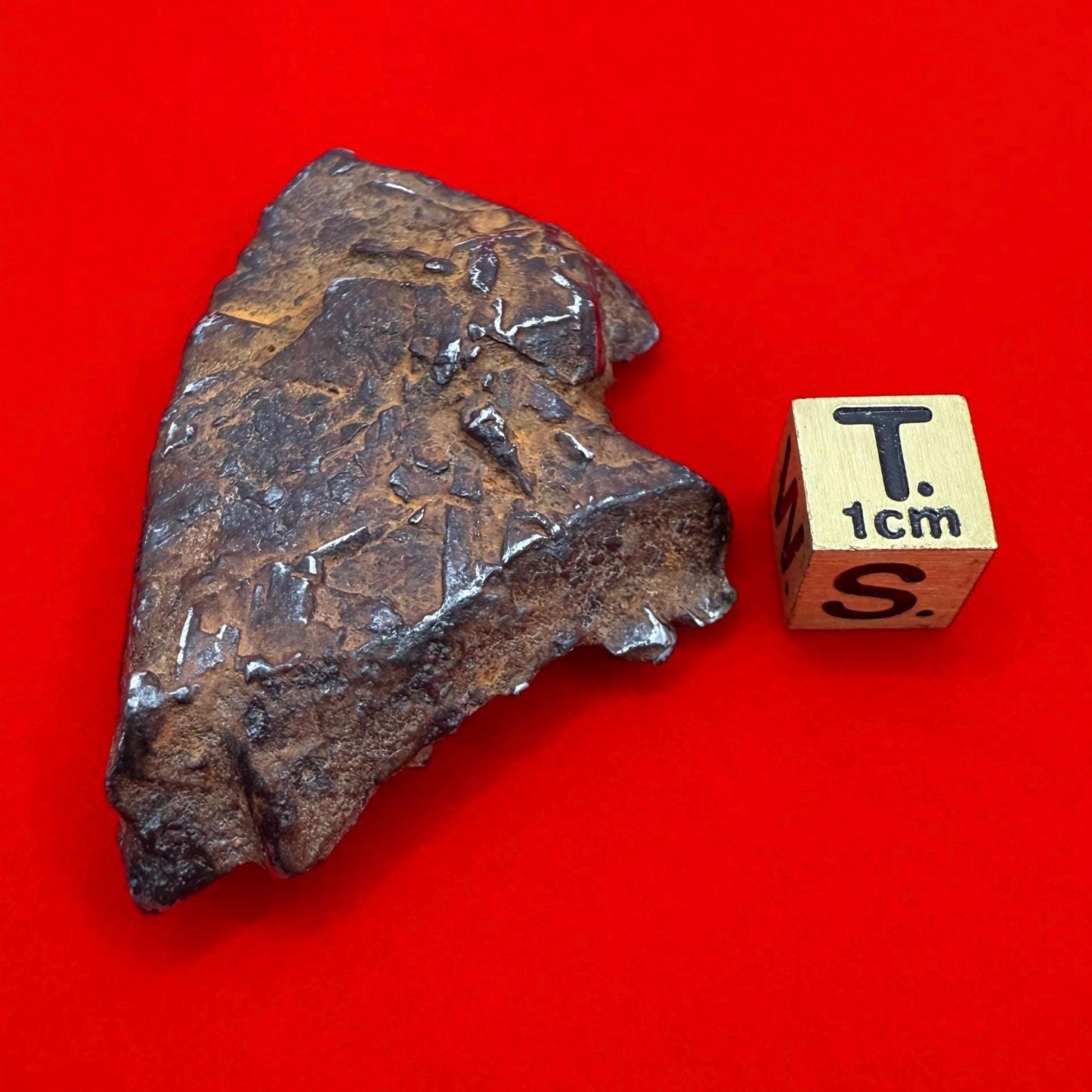 Gibeon Meteorite, Namibia, Iron IVA, 46.46 grams, Extremely Rare Meteorite, Iron Meteorite, Astronomy Gift, Space Gift, African Meteorite