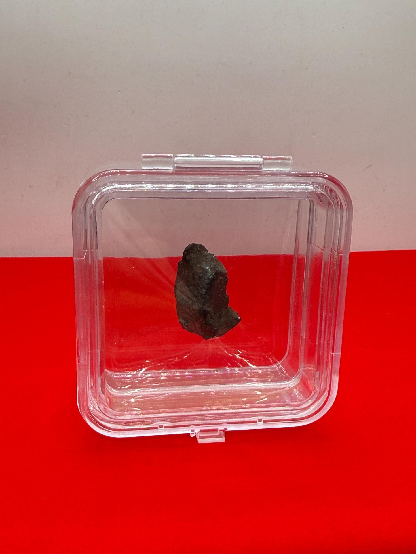 Gibeon Meteorite, Namibia, Iron IVA, 15.50 grams, Rare Meteorite, Iron Meteorite, Astronomy Gift, Space Gift, African Meteorite