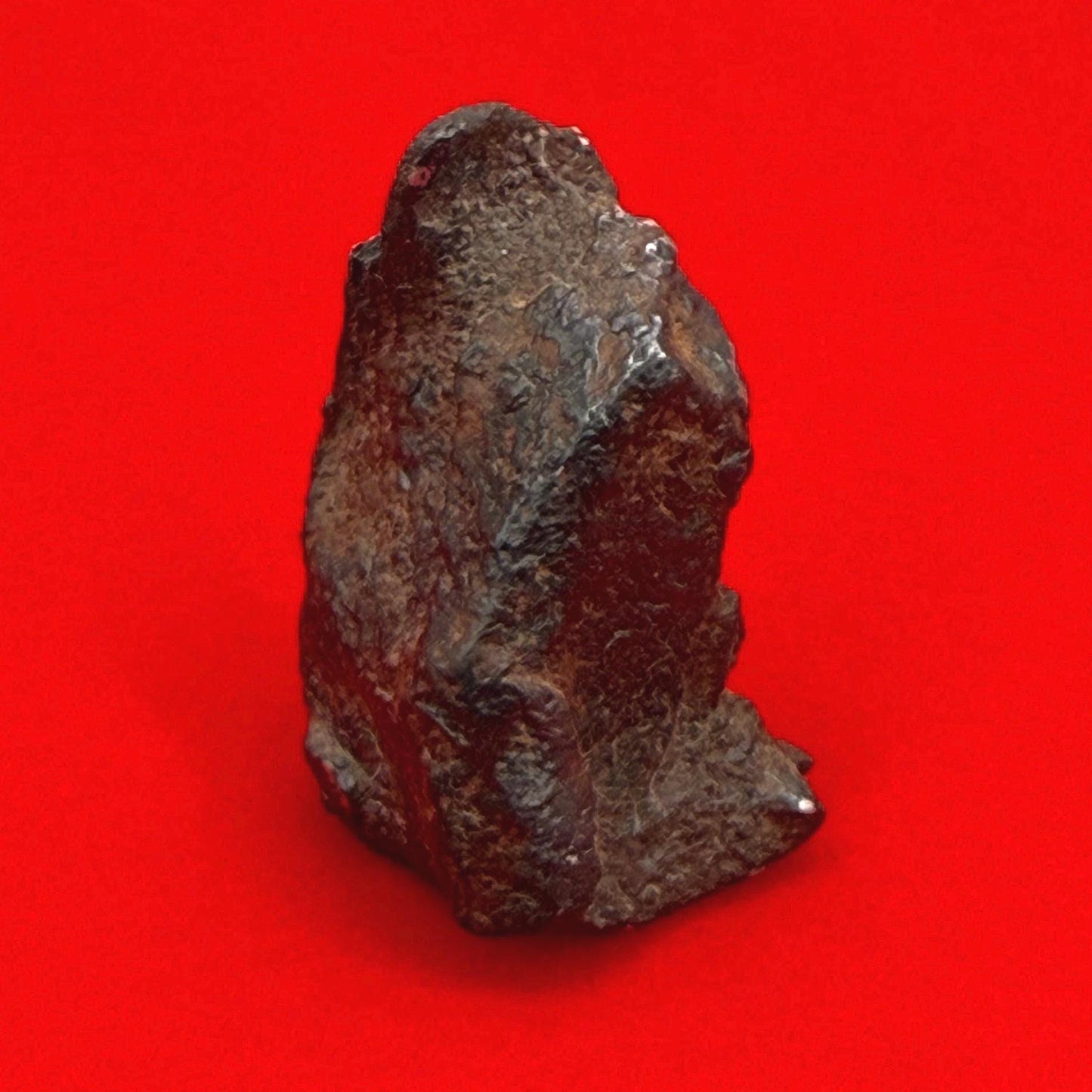Gibeon Meteorite, Namibia, Iron IVA, 15.50 grams, Rare Meteorite, Iron Meteorite, Astronomy Gift, Space Gift, African Meteorite