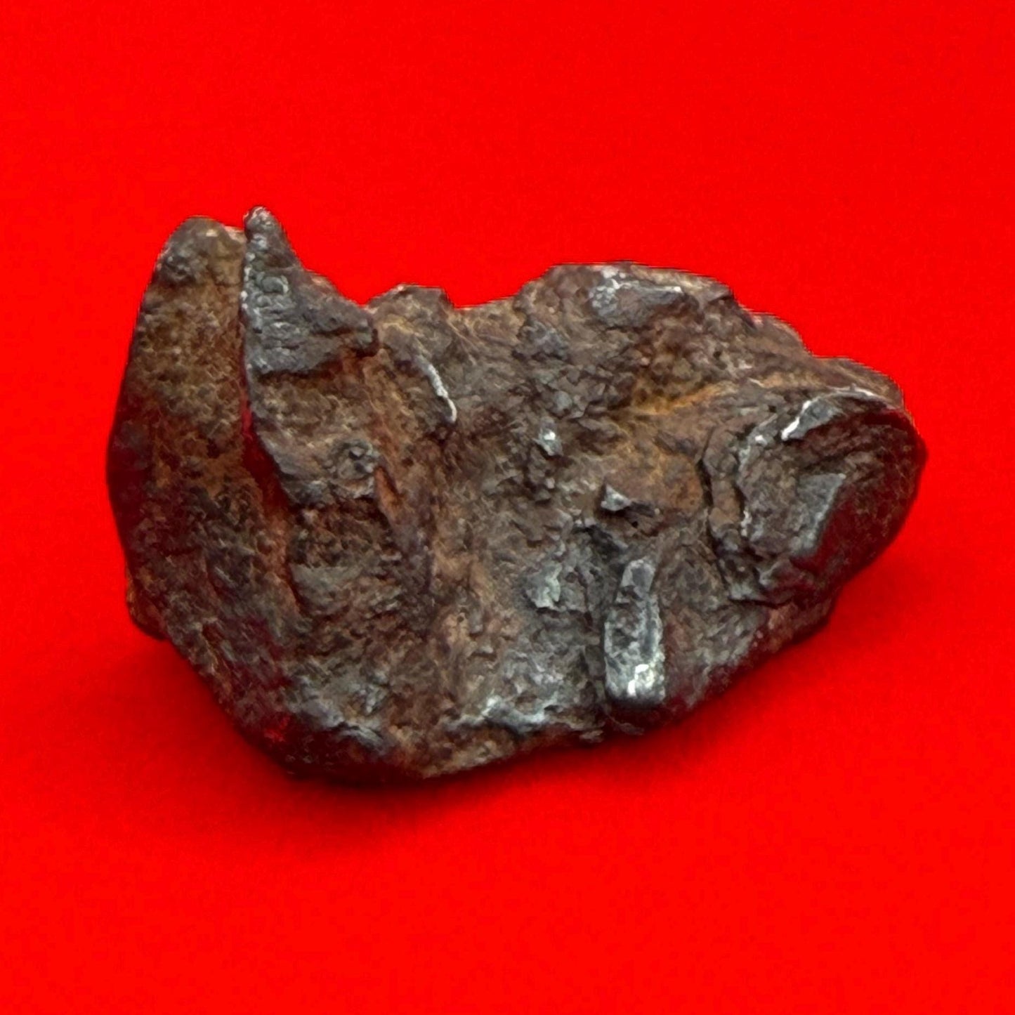 Gibeon Meteorite, Namibia, Iron IVA, 15.50 grams, Rare Meteorite, Iron Meteorite, Astronomy Gift, Space Gift, African Meteorite